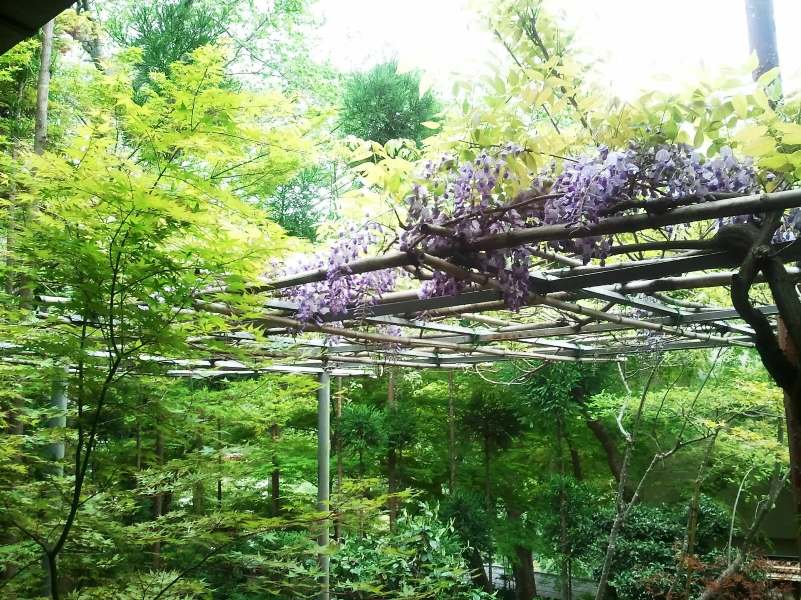 Garden in Ryokan Nenrinbo