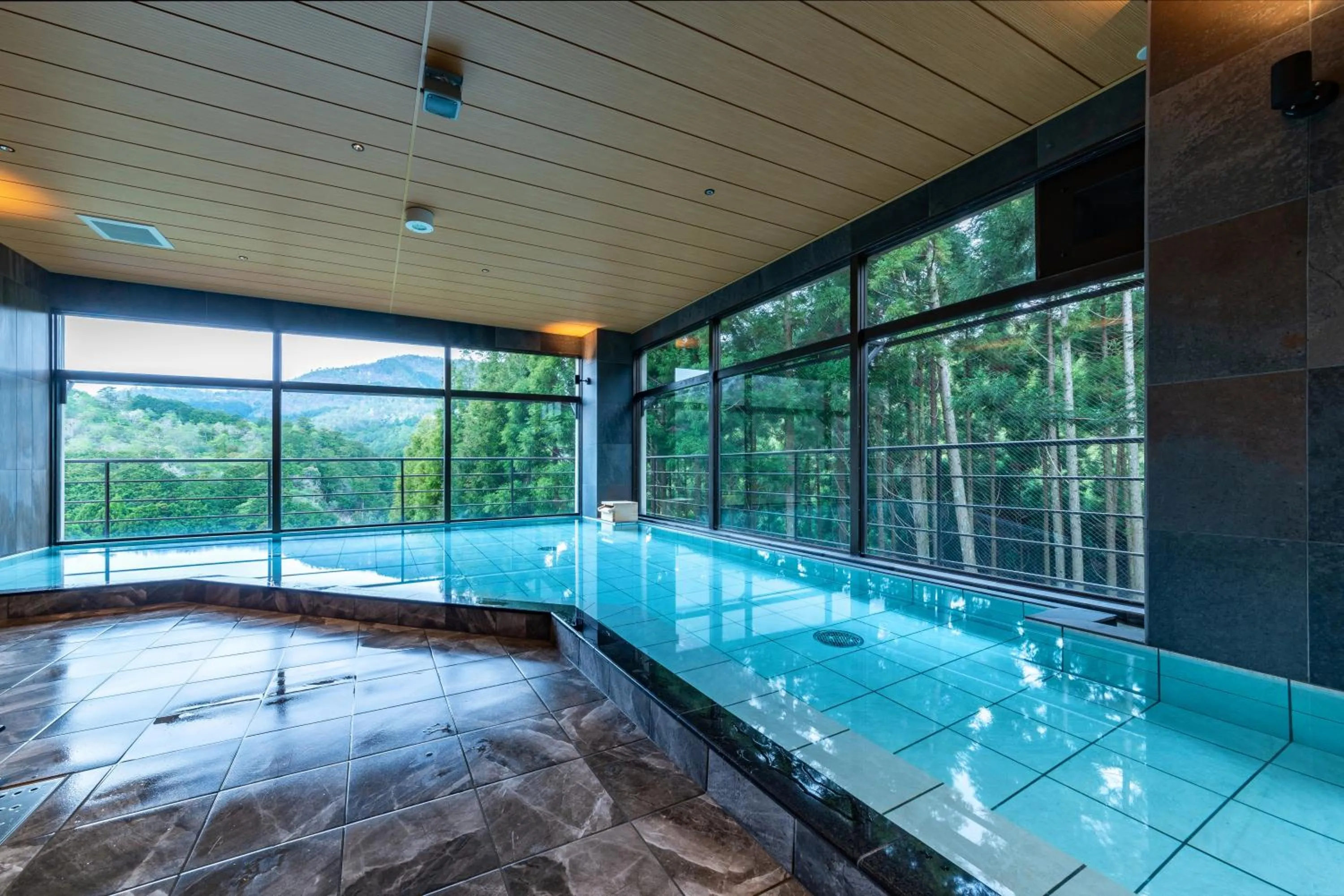 Spa and wellness centre/facilities in Ryokan Nenrinbo
