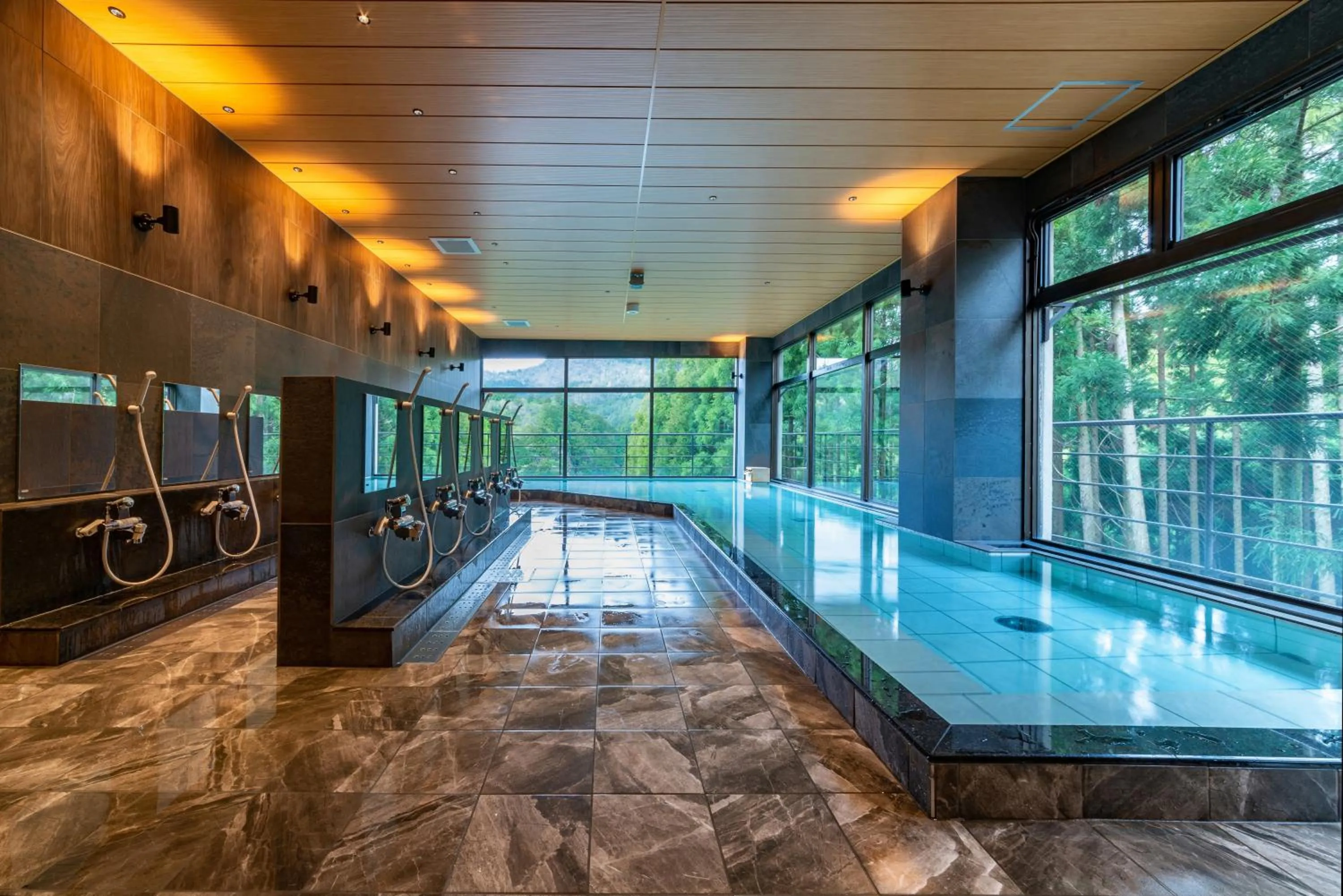 Public Bath in Ryokan Nenrinbo