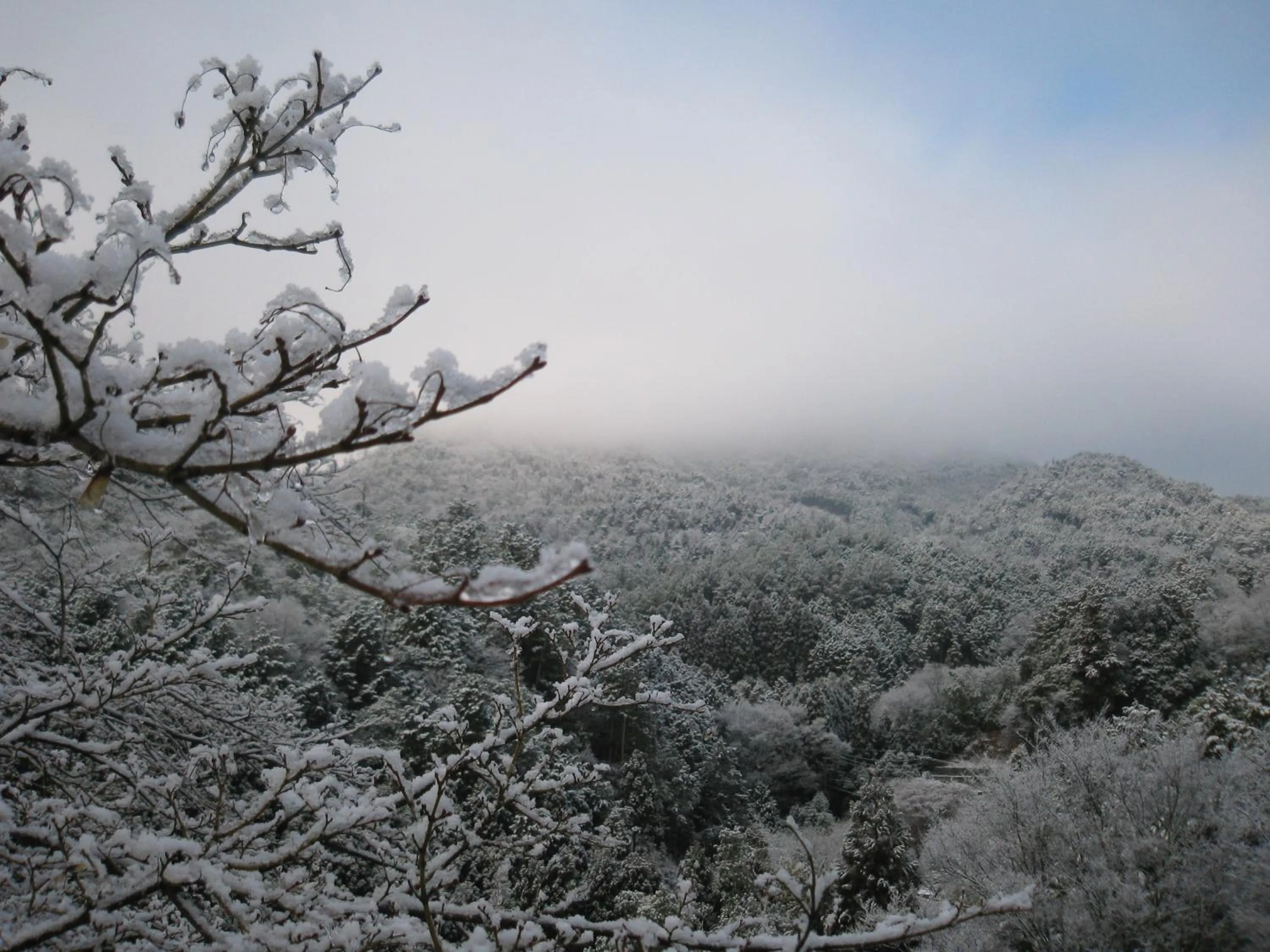 Natural landscape in Ryokan Nenrinbo