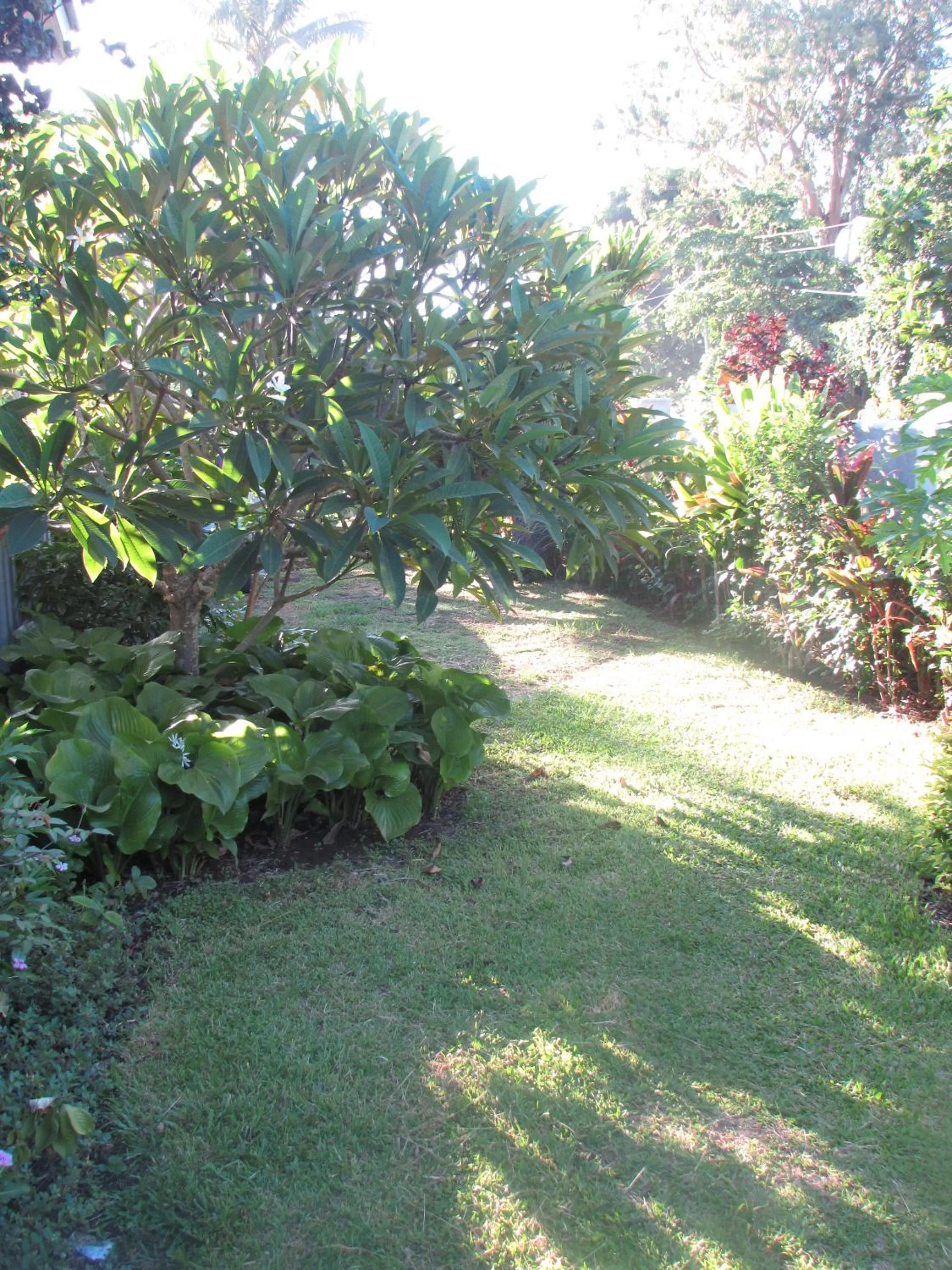 Garden in Dayspring Lodge