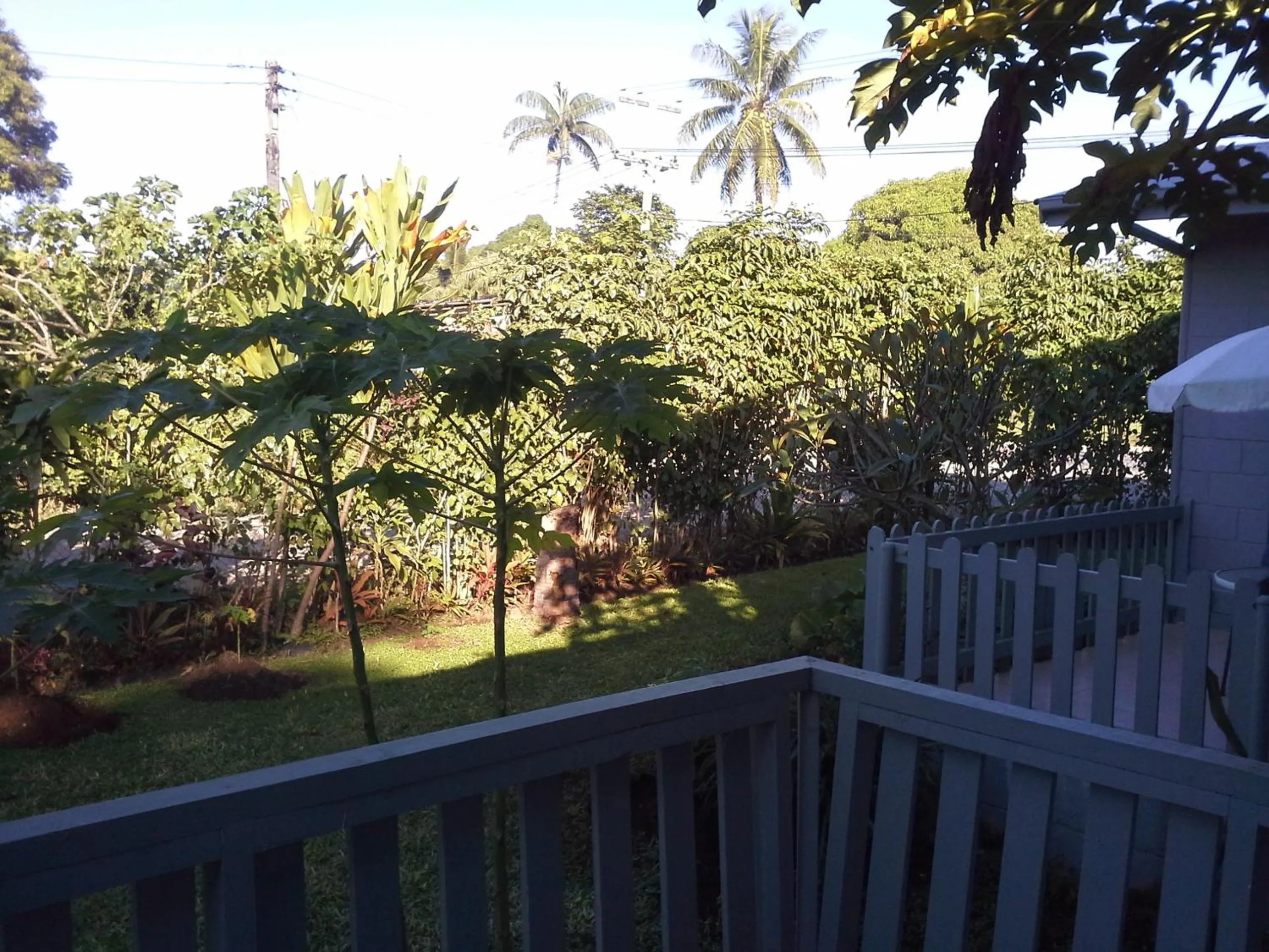 Garden in Dayspring Lodge
