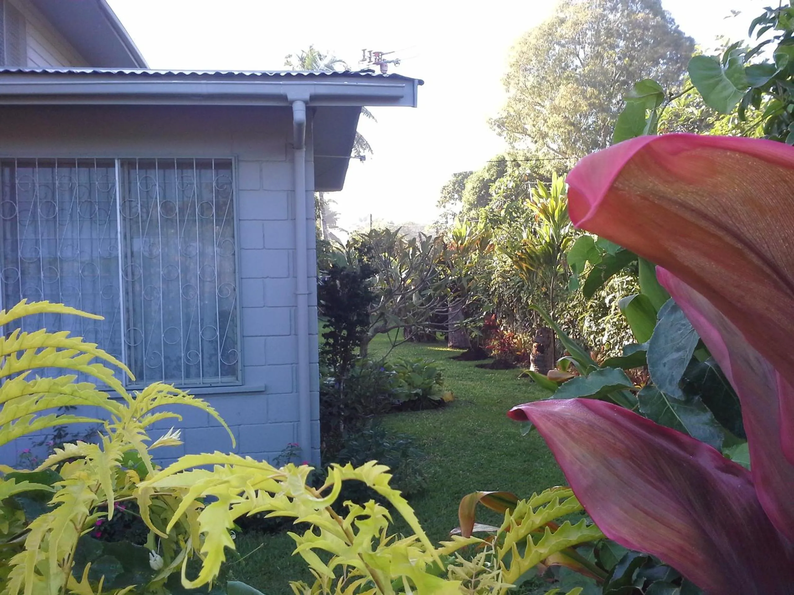 Garden in Dayspring Lodge
