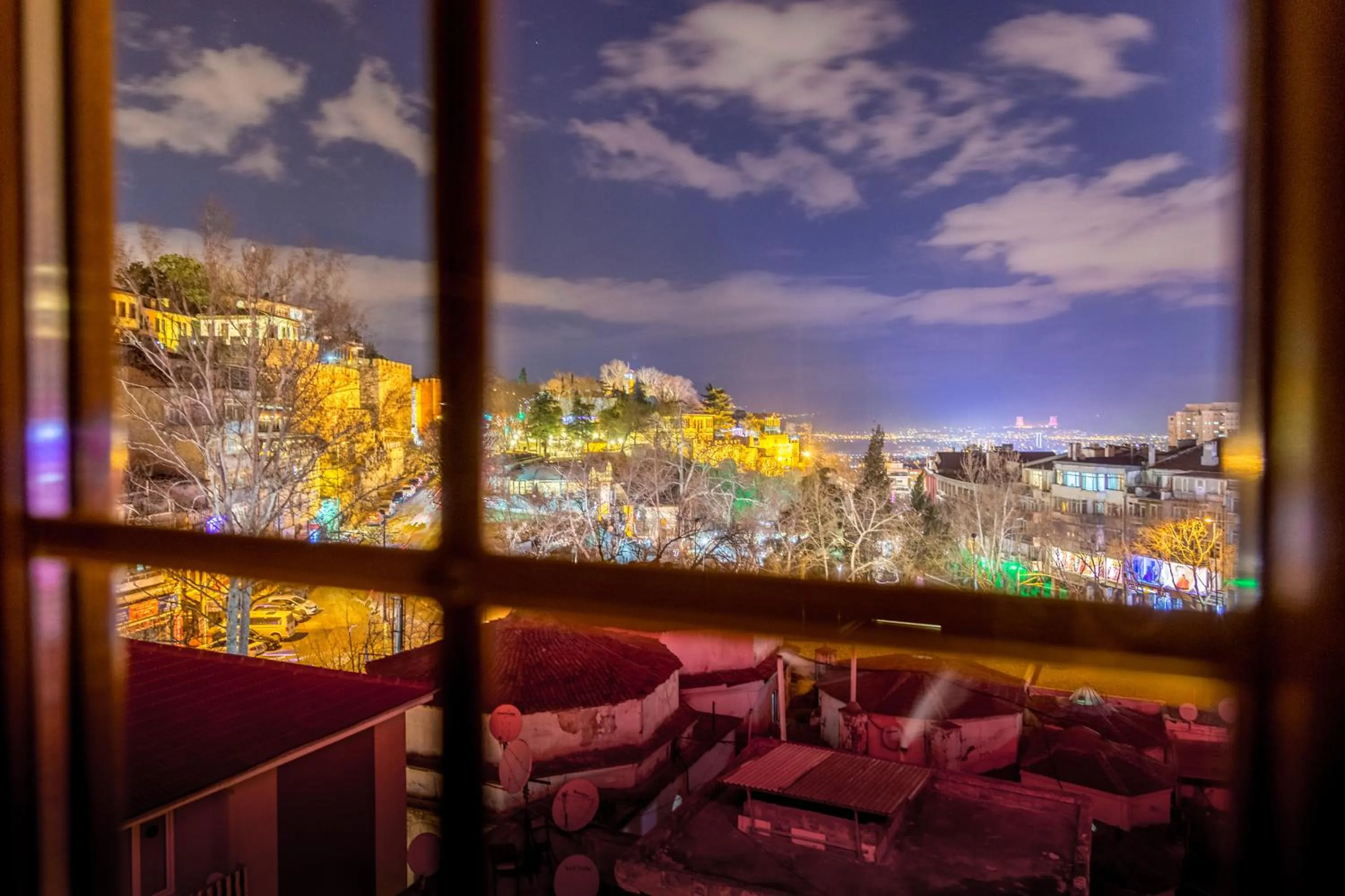 City view in Bursa Palas Hotel