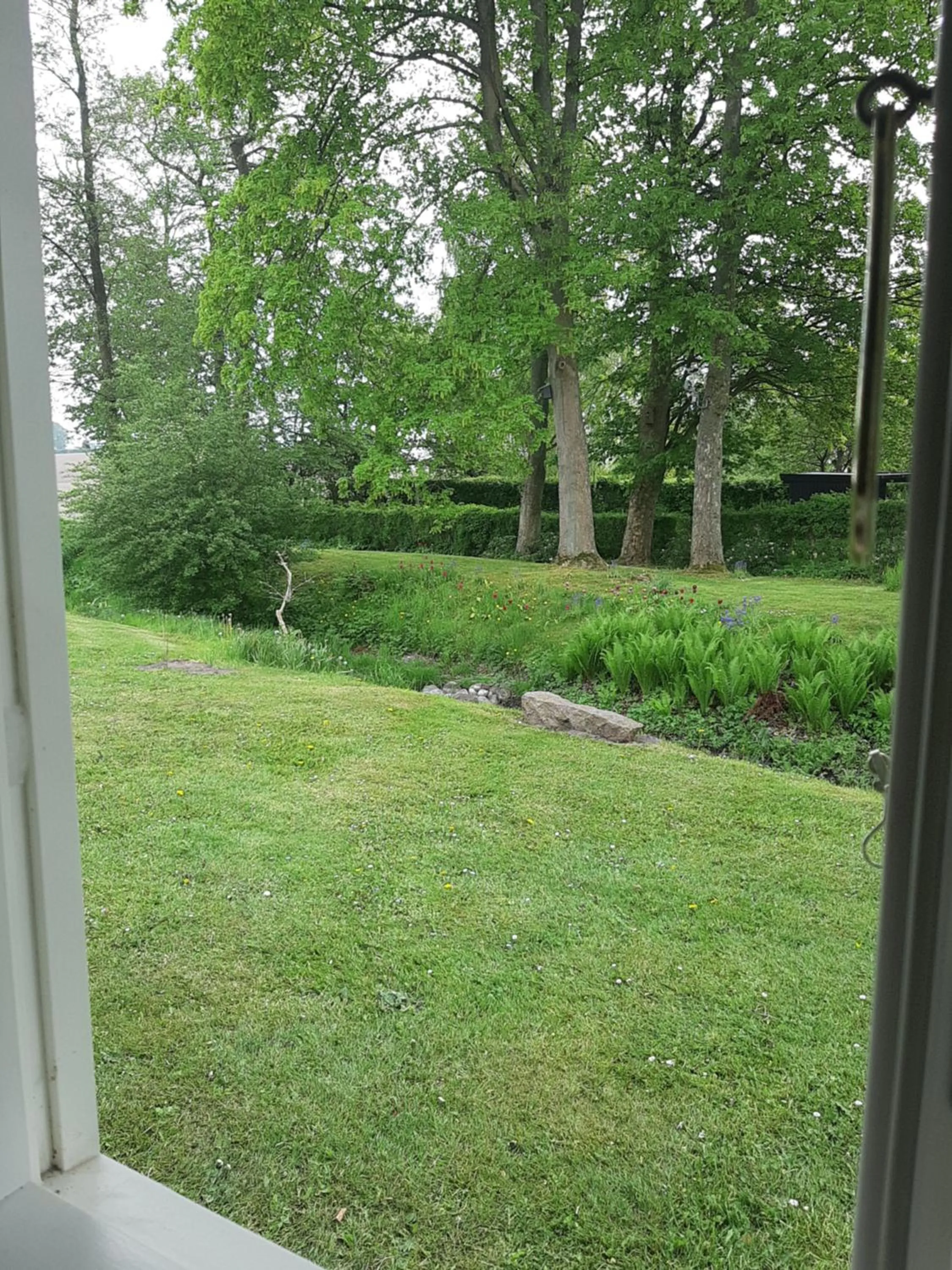 Garden view in Baekgaarden B&B