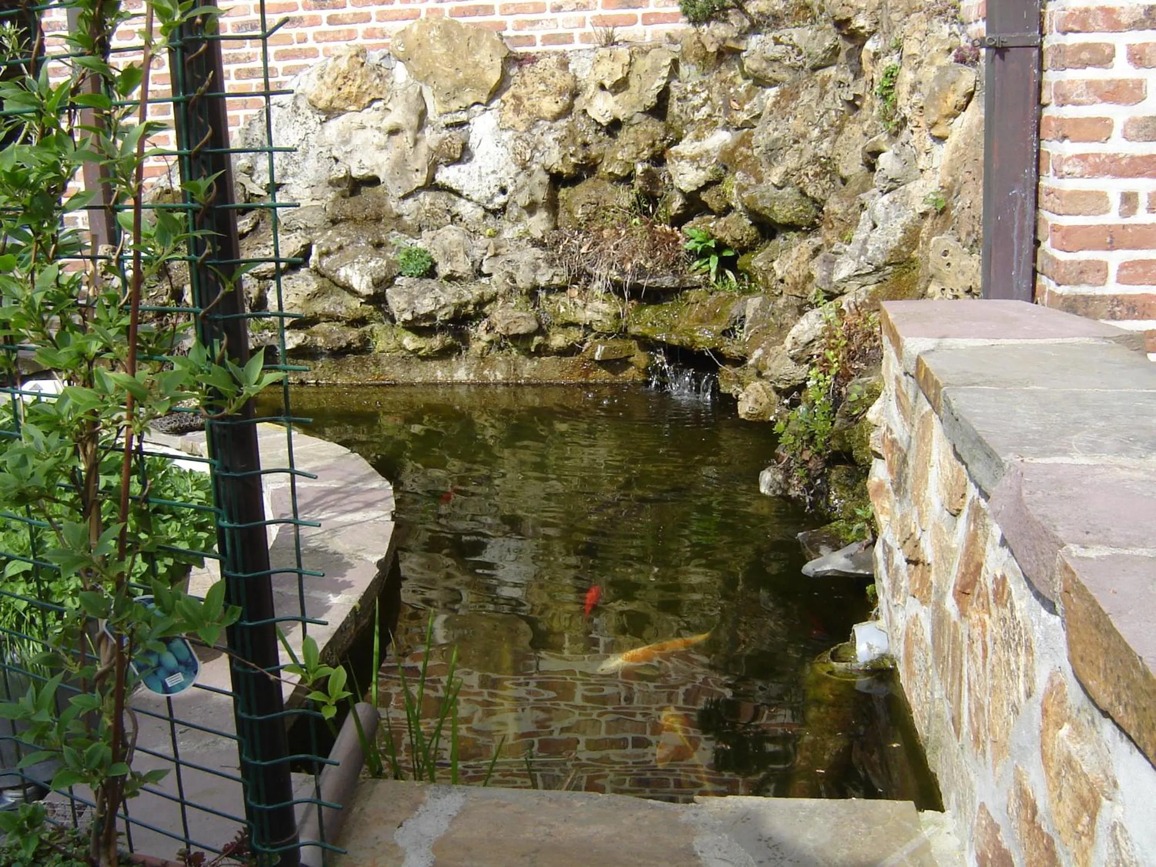 Garden in B&B Wisteria