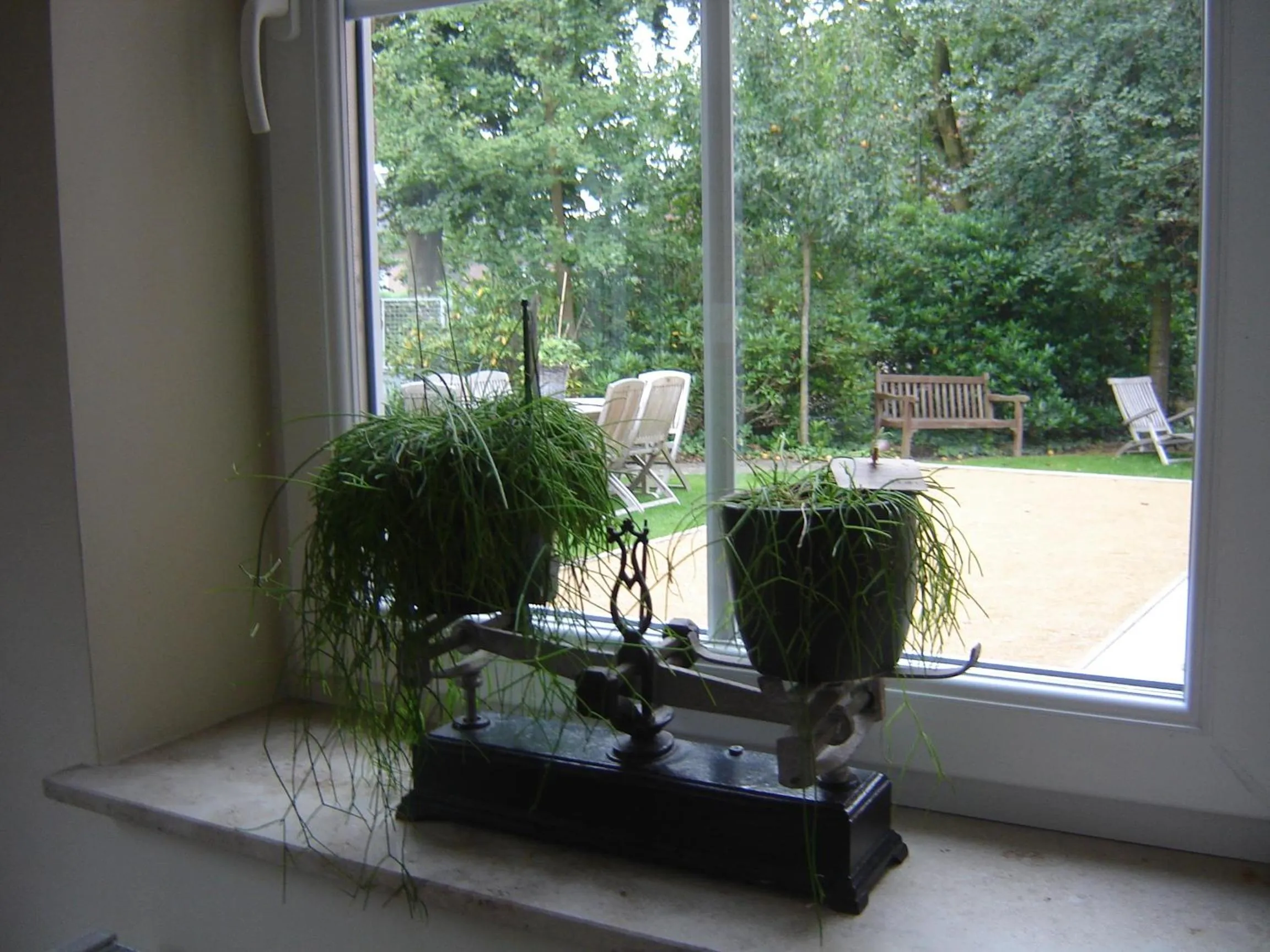 View (from property/room) in B&B Wisteria