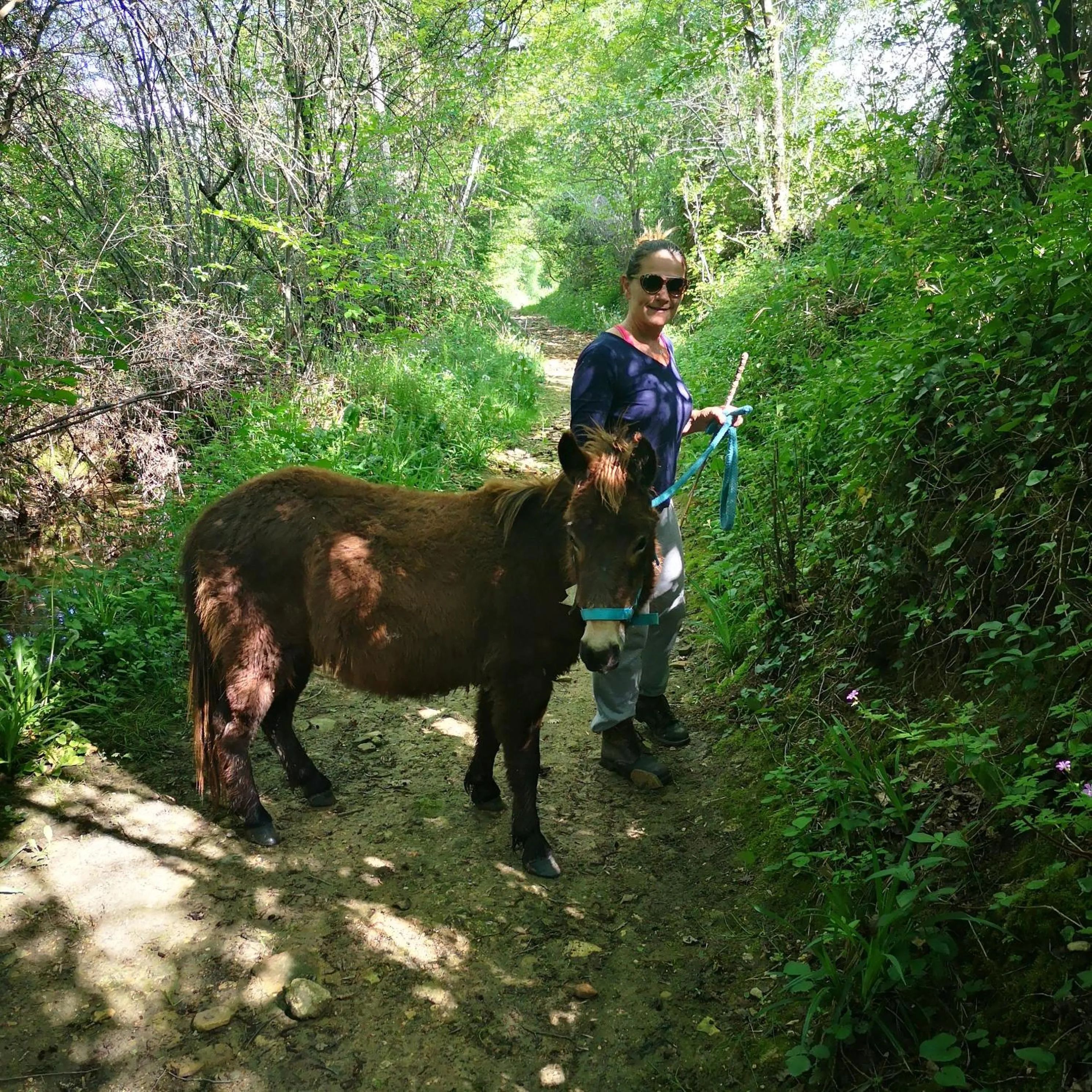 Pets in Castel Mazars