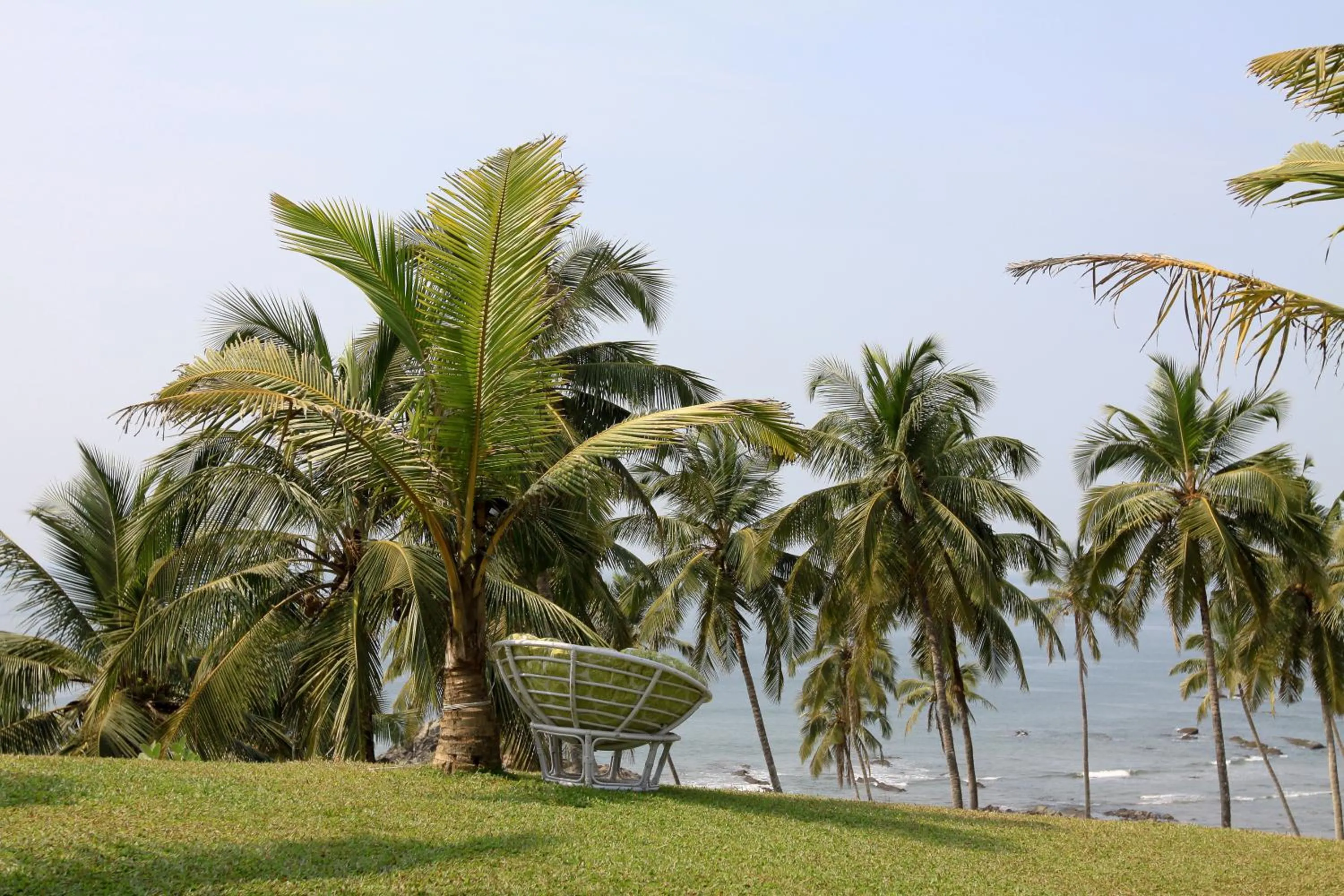 Garden in Casa Vagator