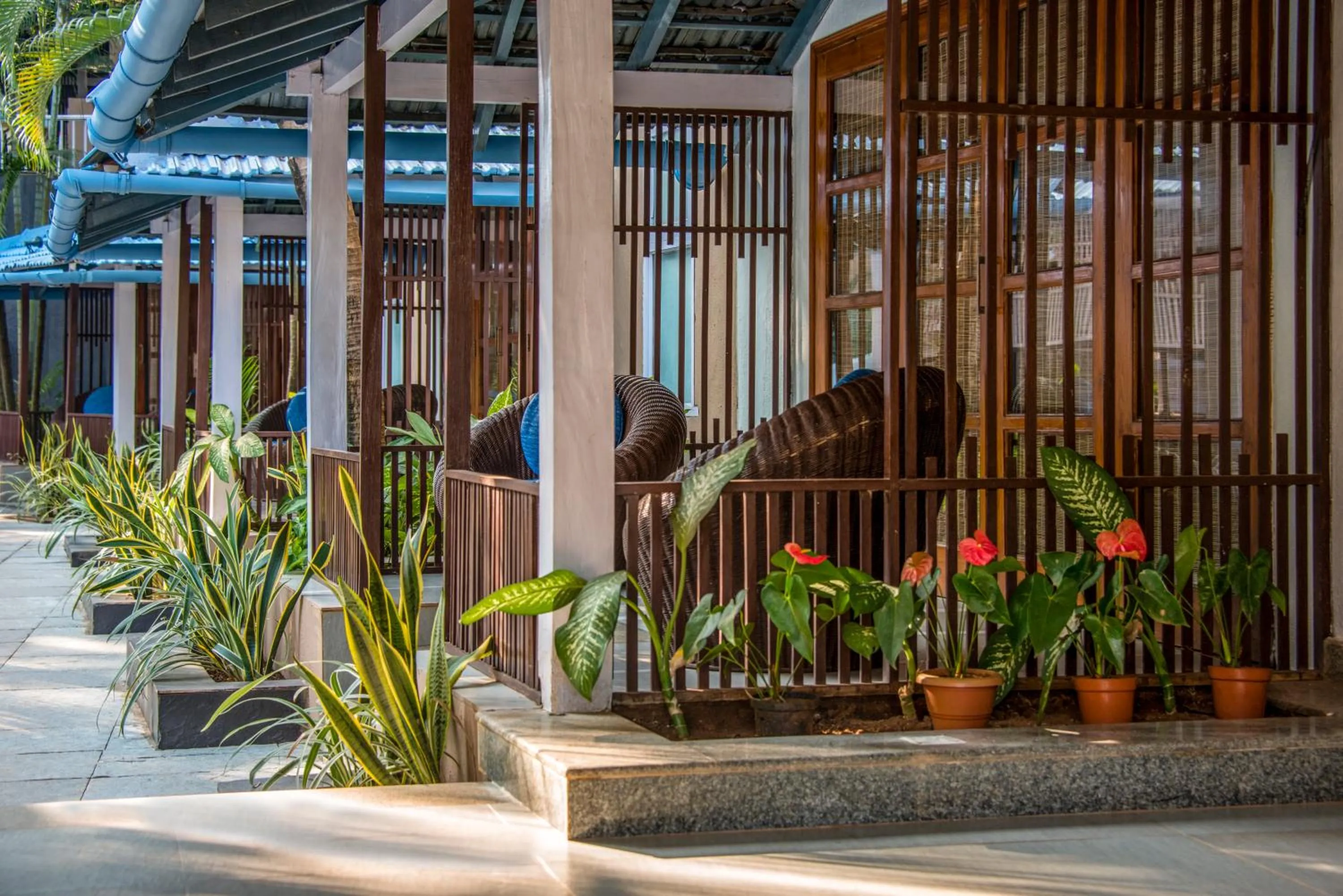 Pool view in Casa Vagator