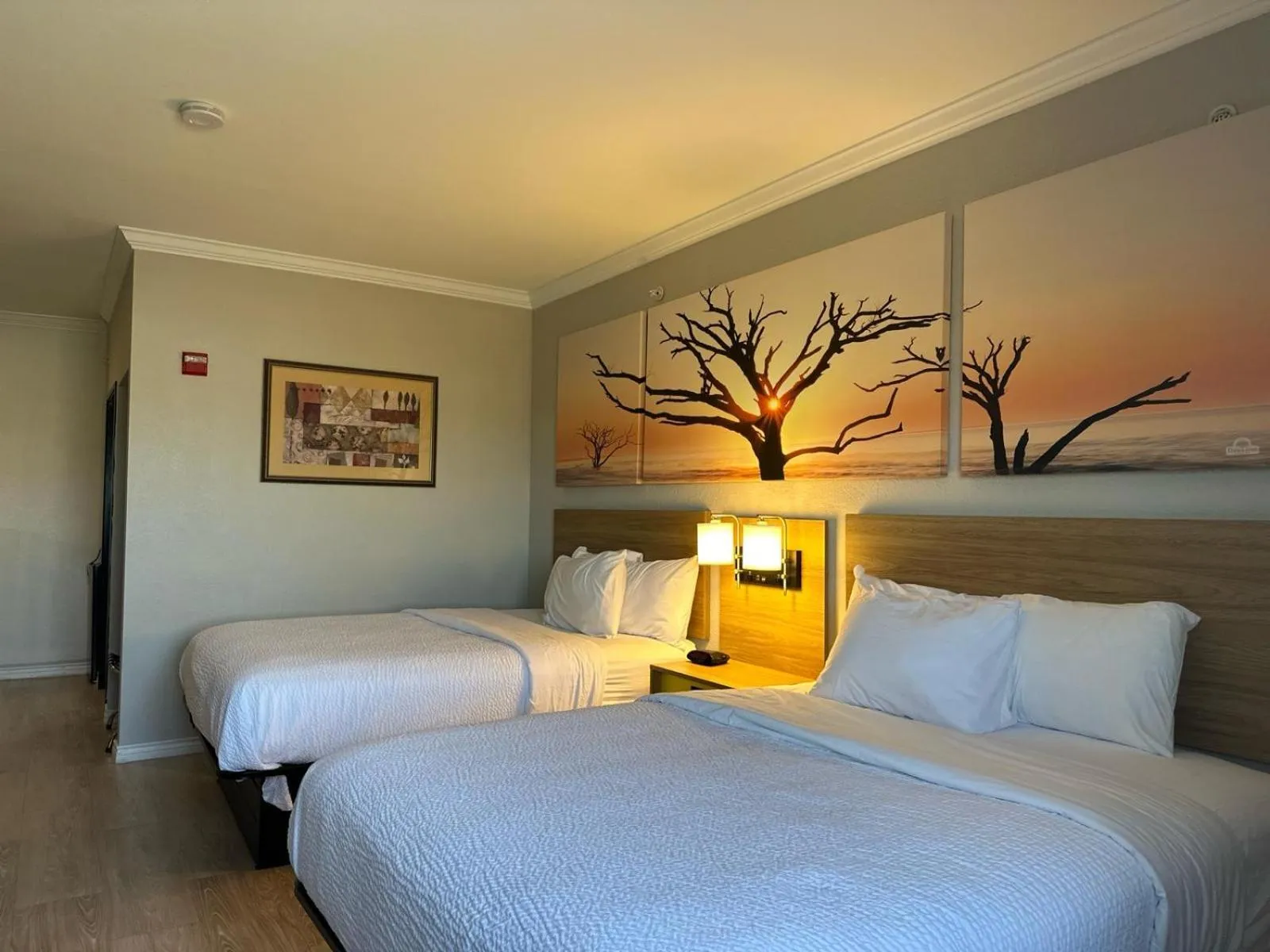 Property building, Bed in Days Inn by Wyndham Copperas Cove