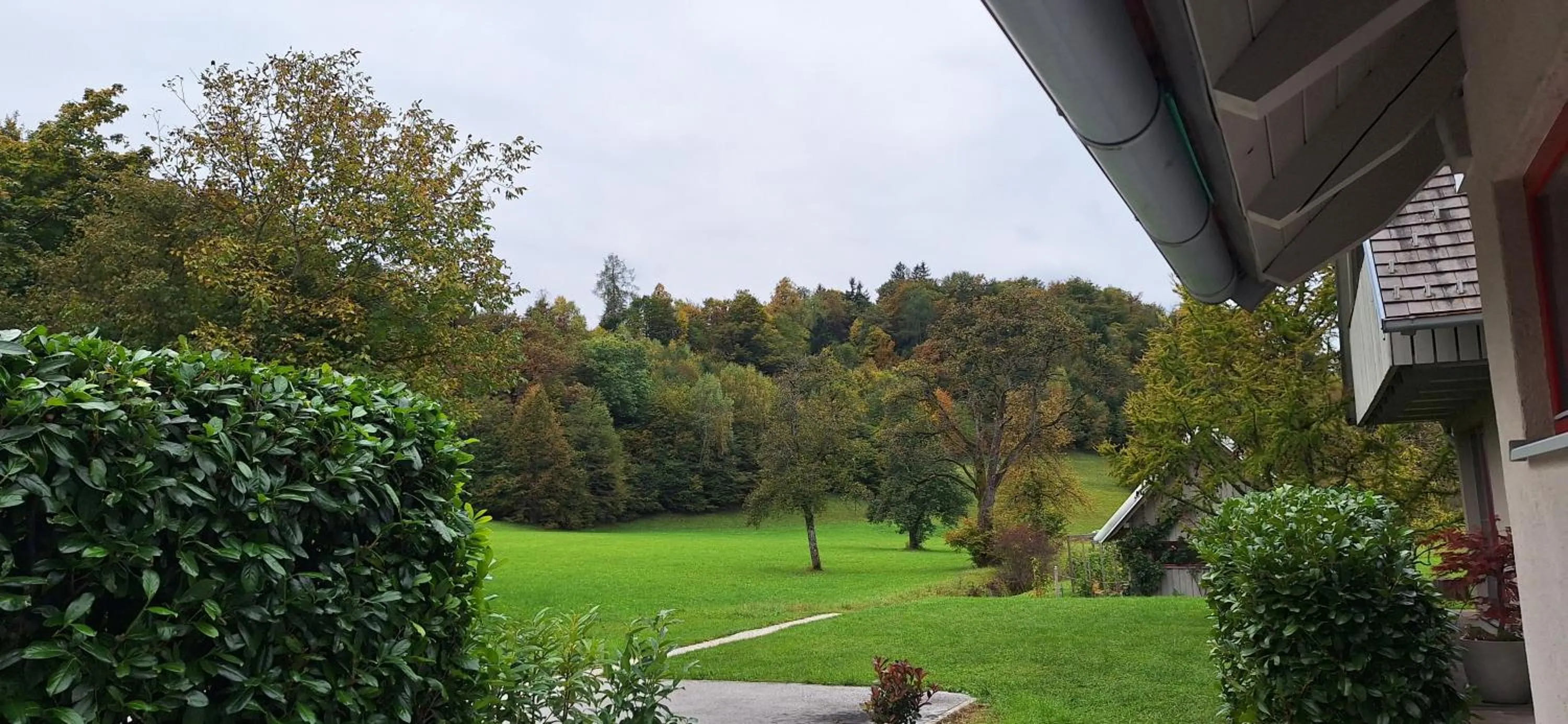 Garden view in Garden living