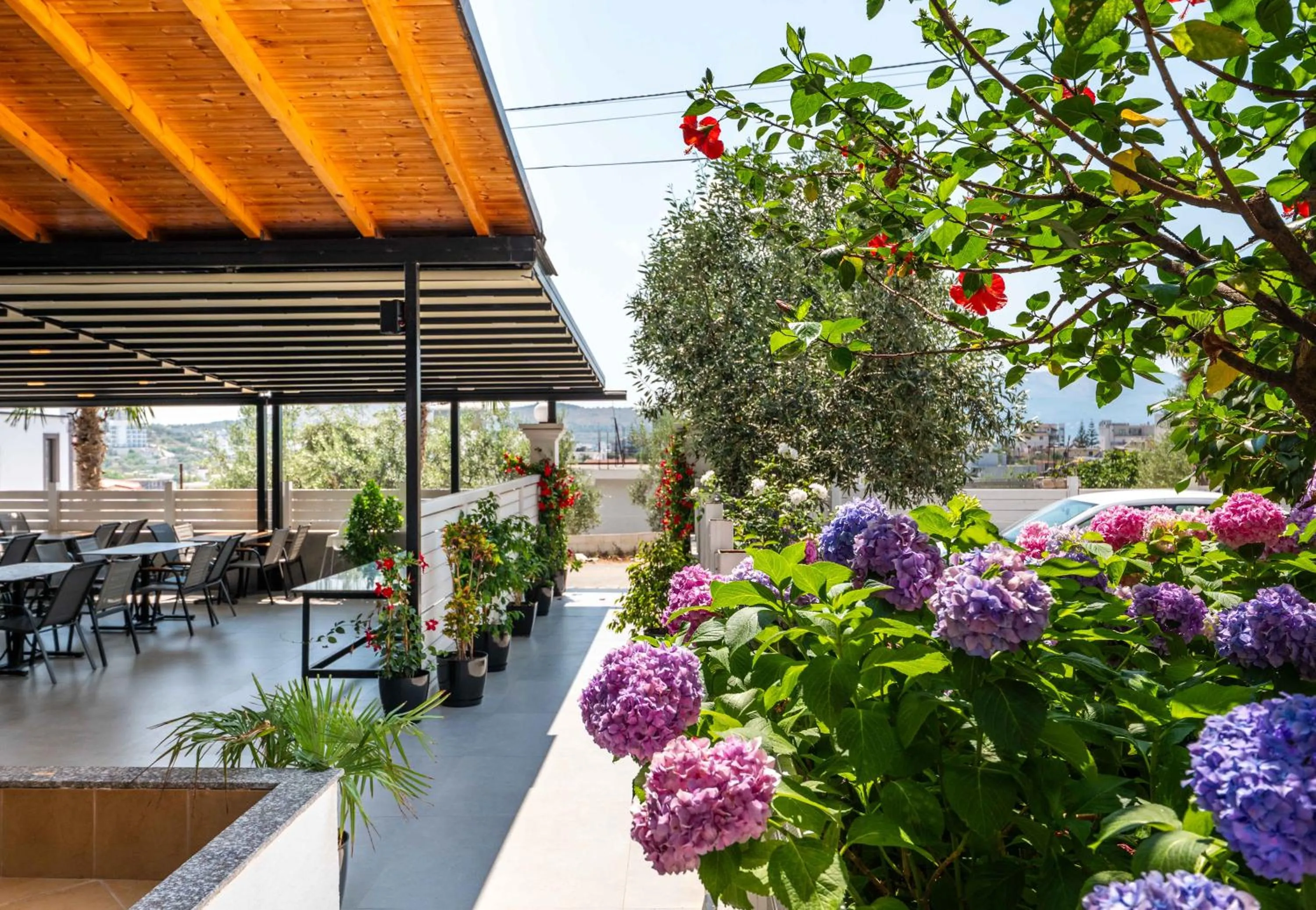 View (from property/room) in Sunshine Hotel