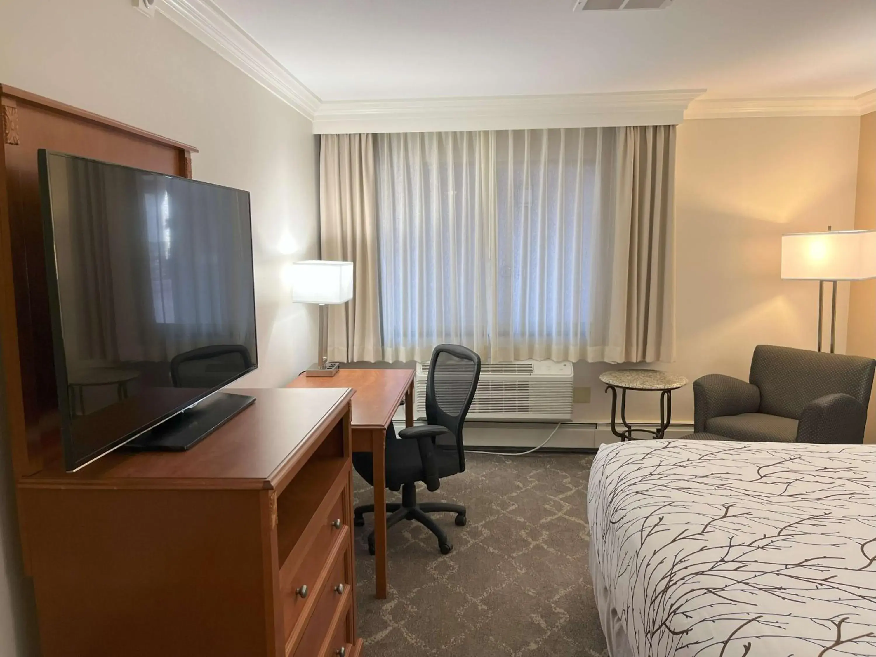 Queen Room in Best Western Plus Silver Saddle Inn Queen Room in Best Western Plus Silver Saddle Inn