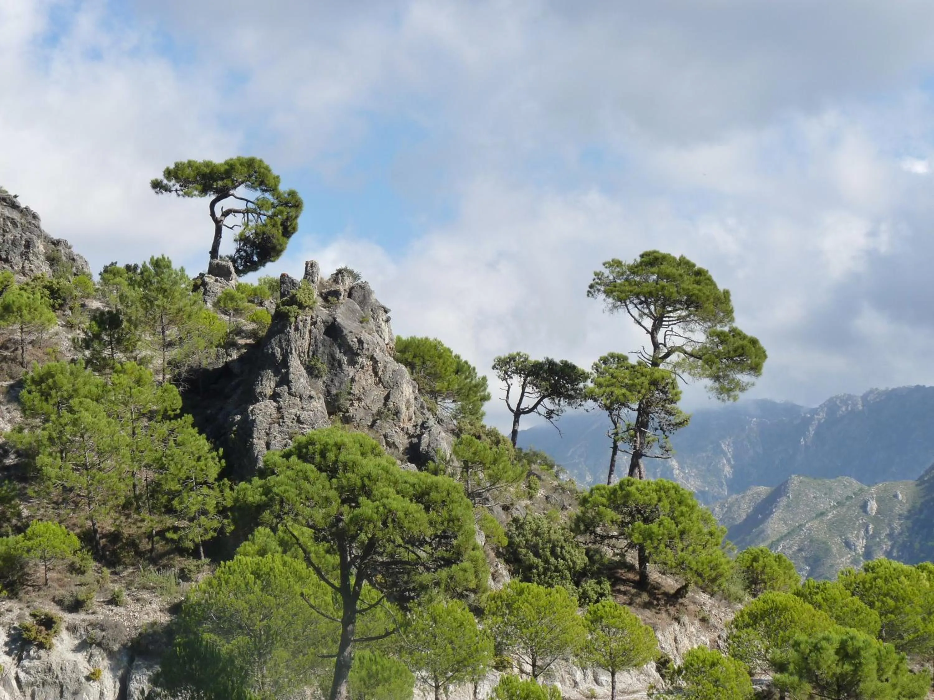 Area and facilities in B&B la Madrugada