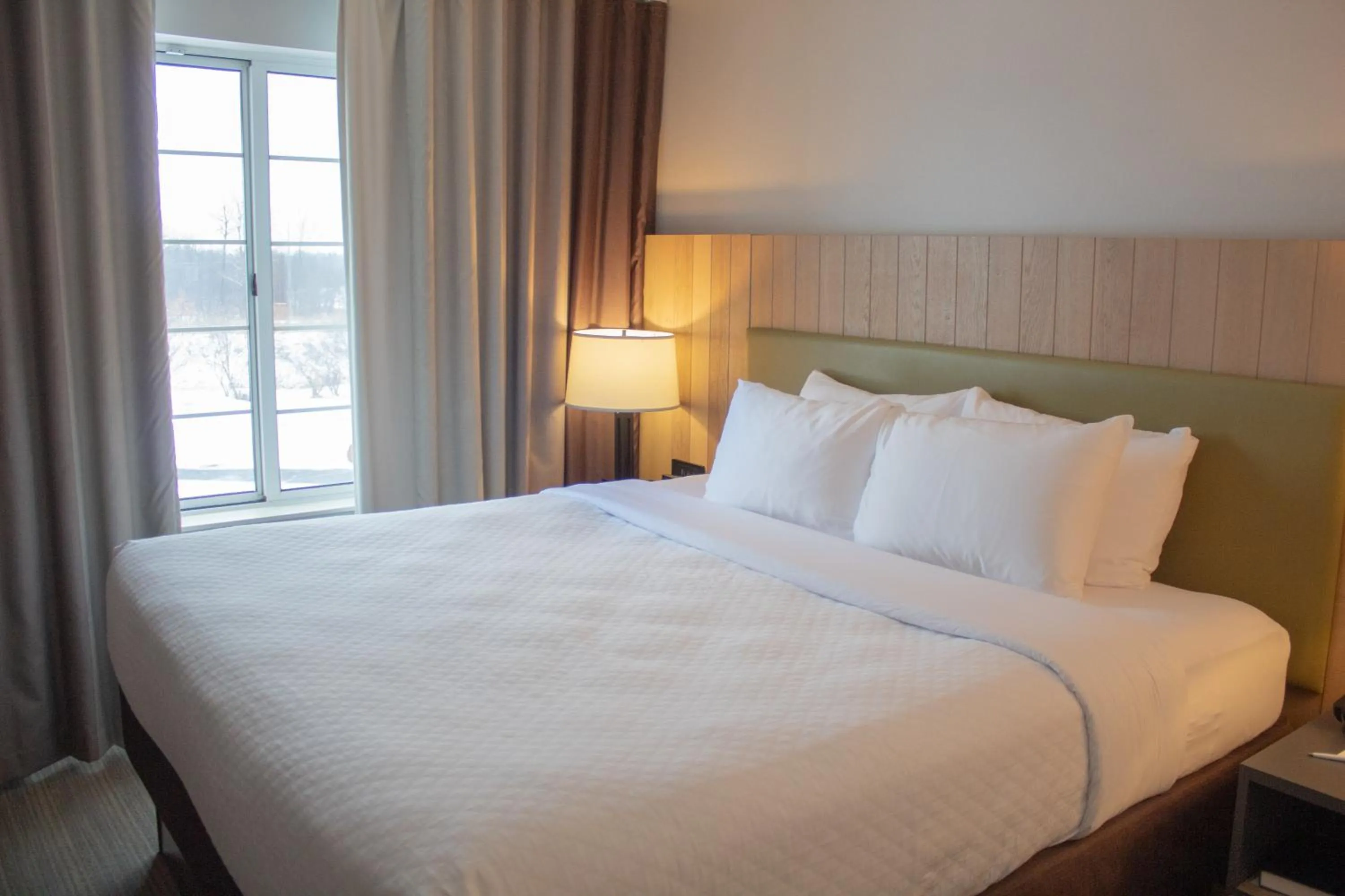 Bed in Country Inn & Suites by Radisson, Big Rapids, MI