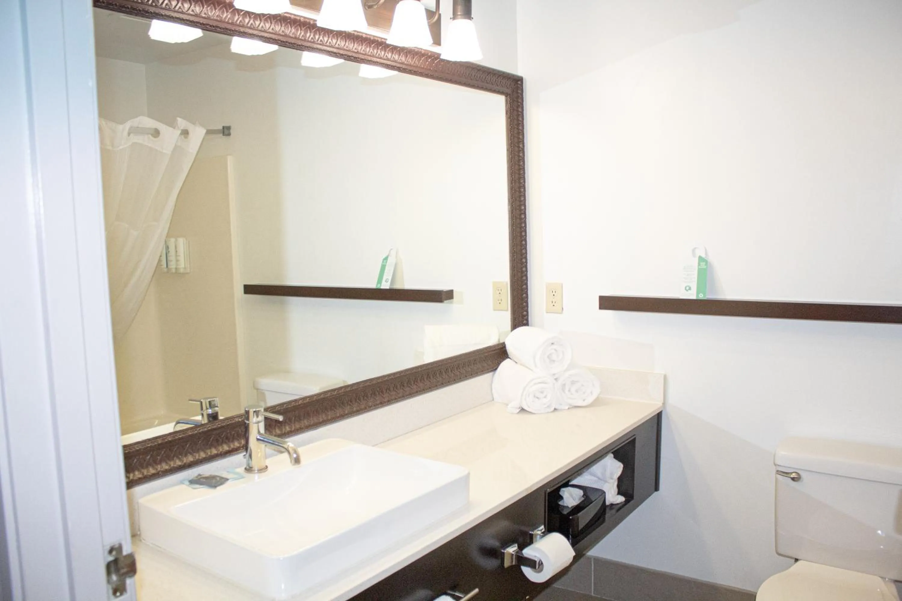 Country Inn & Suites by Radisson, Big Rapids, MI