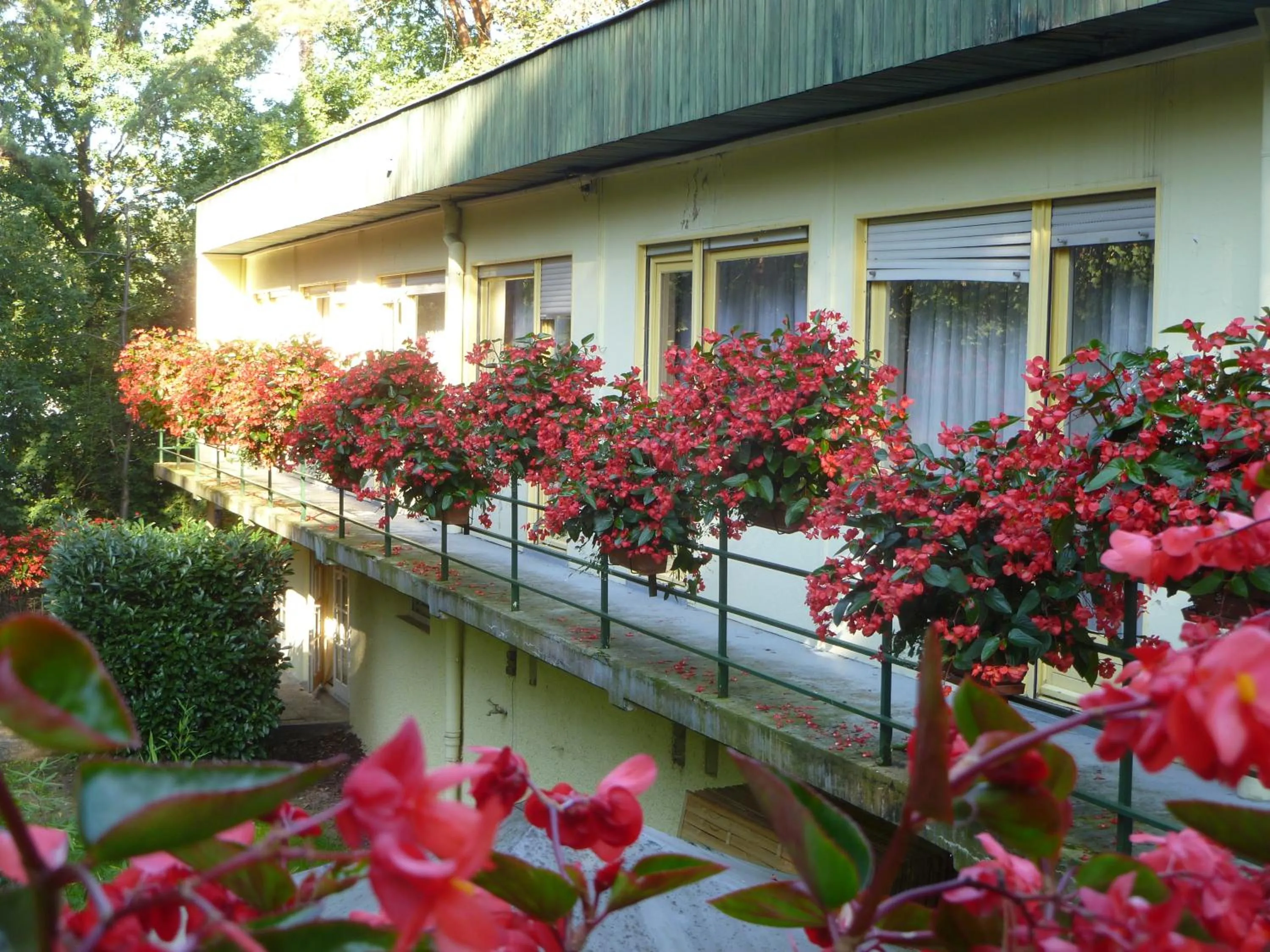 Patio in Hotel Restaurant Les Pins logis