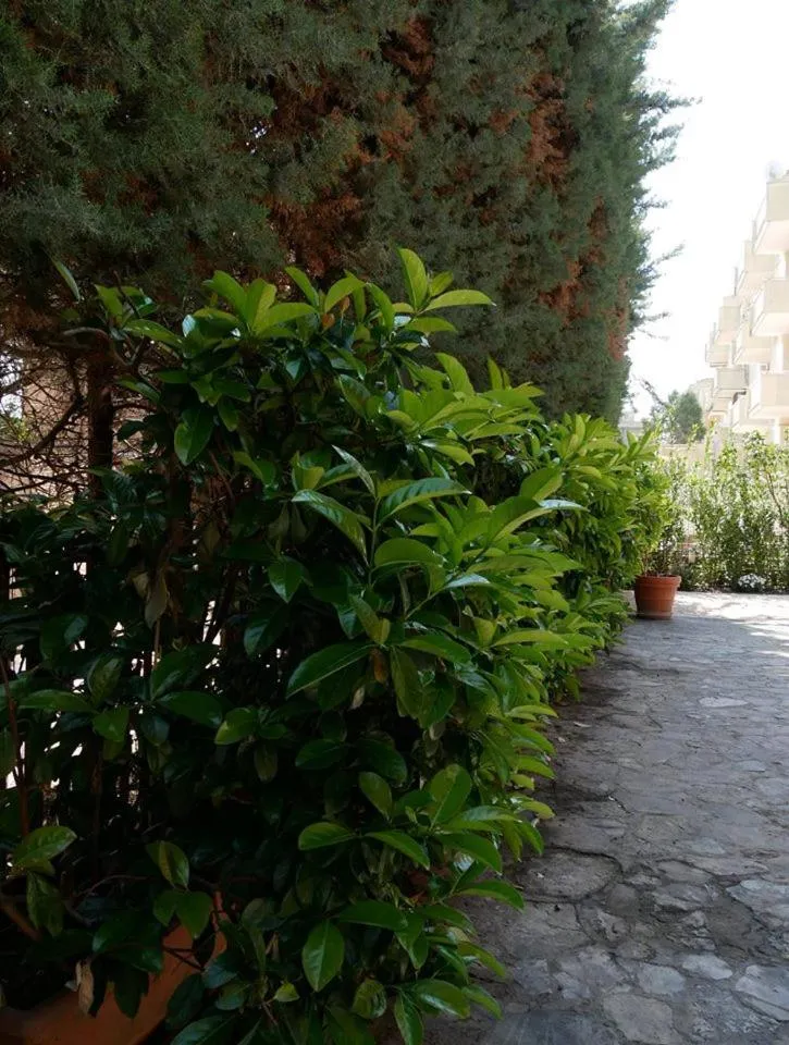 Garden view in Villa Borghese B&B