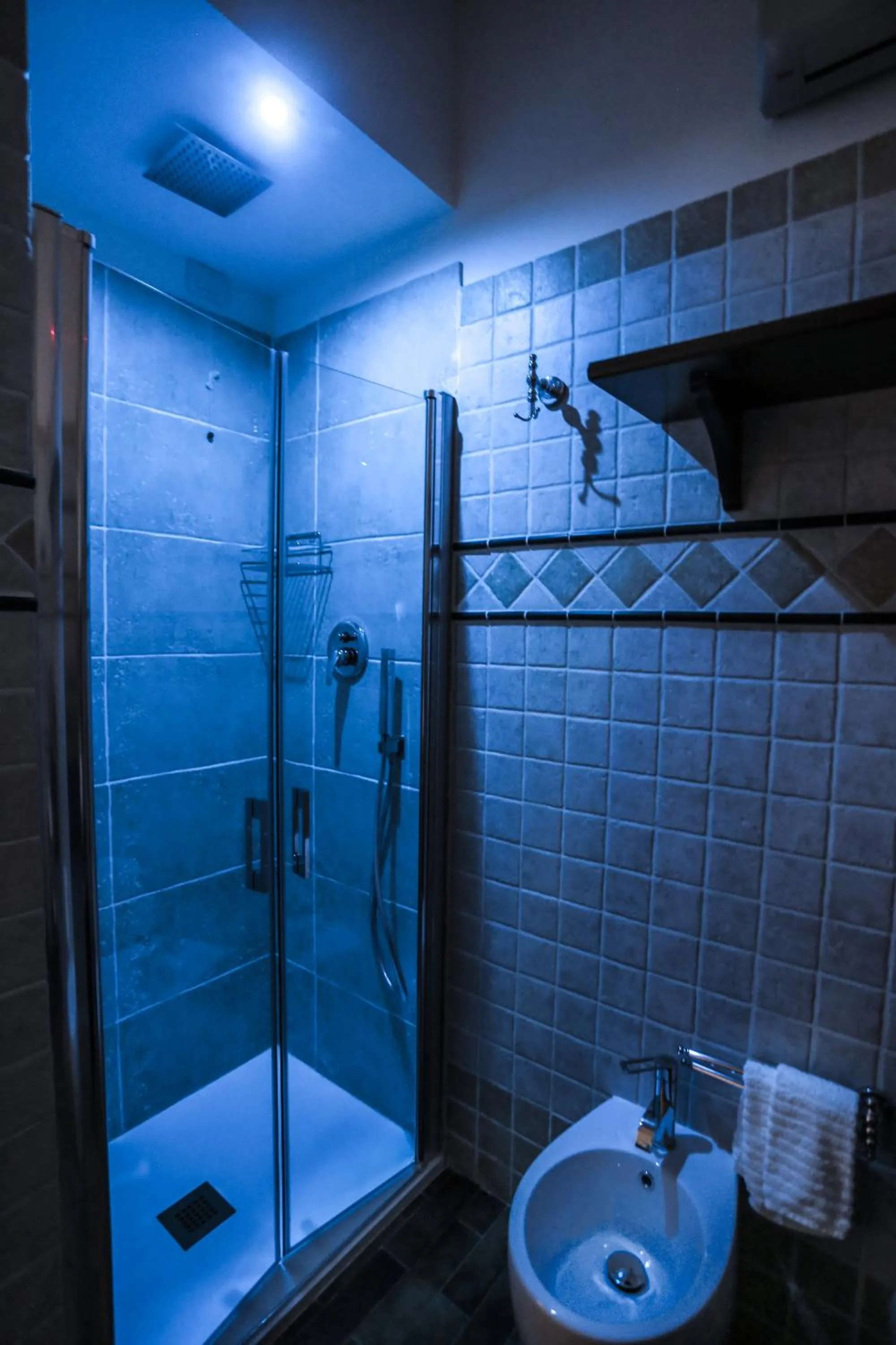 Shower in Villa Borghese B&B