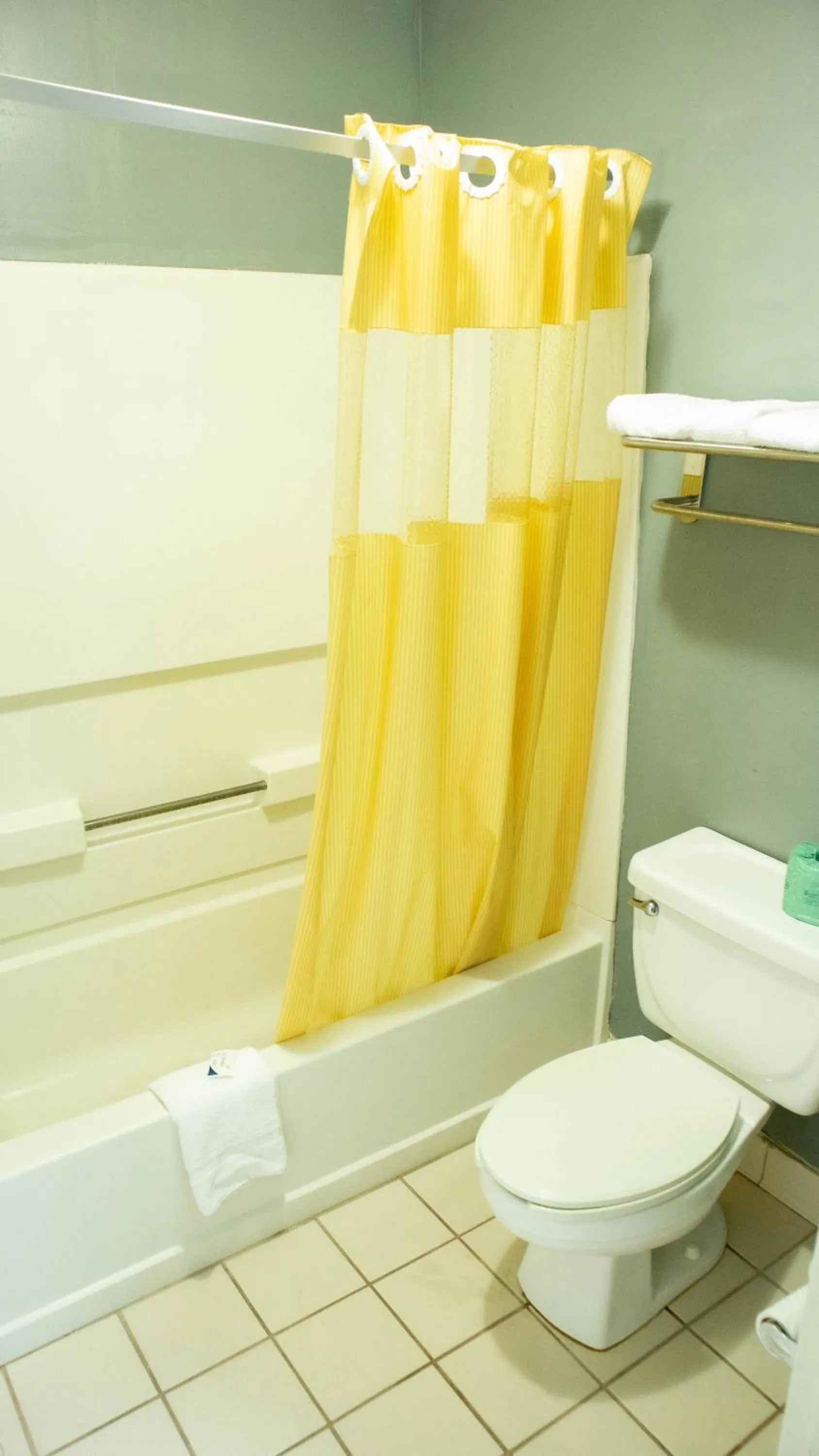 Bathroom in Executive Inn Yanceyville