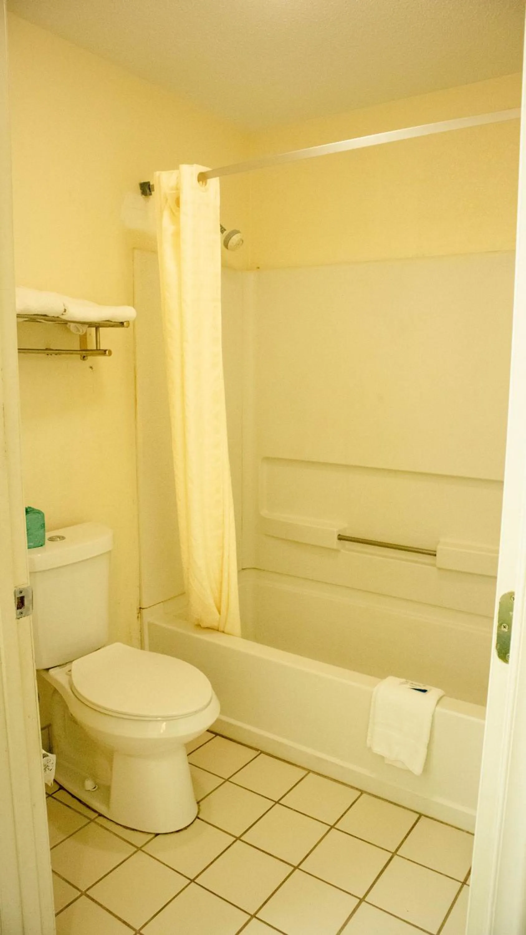 Bathroom in Executive Inn Yanceyville