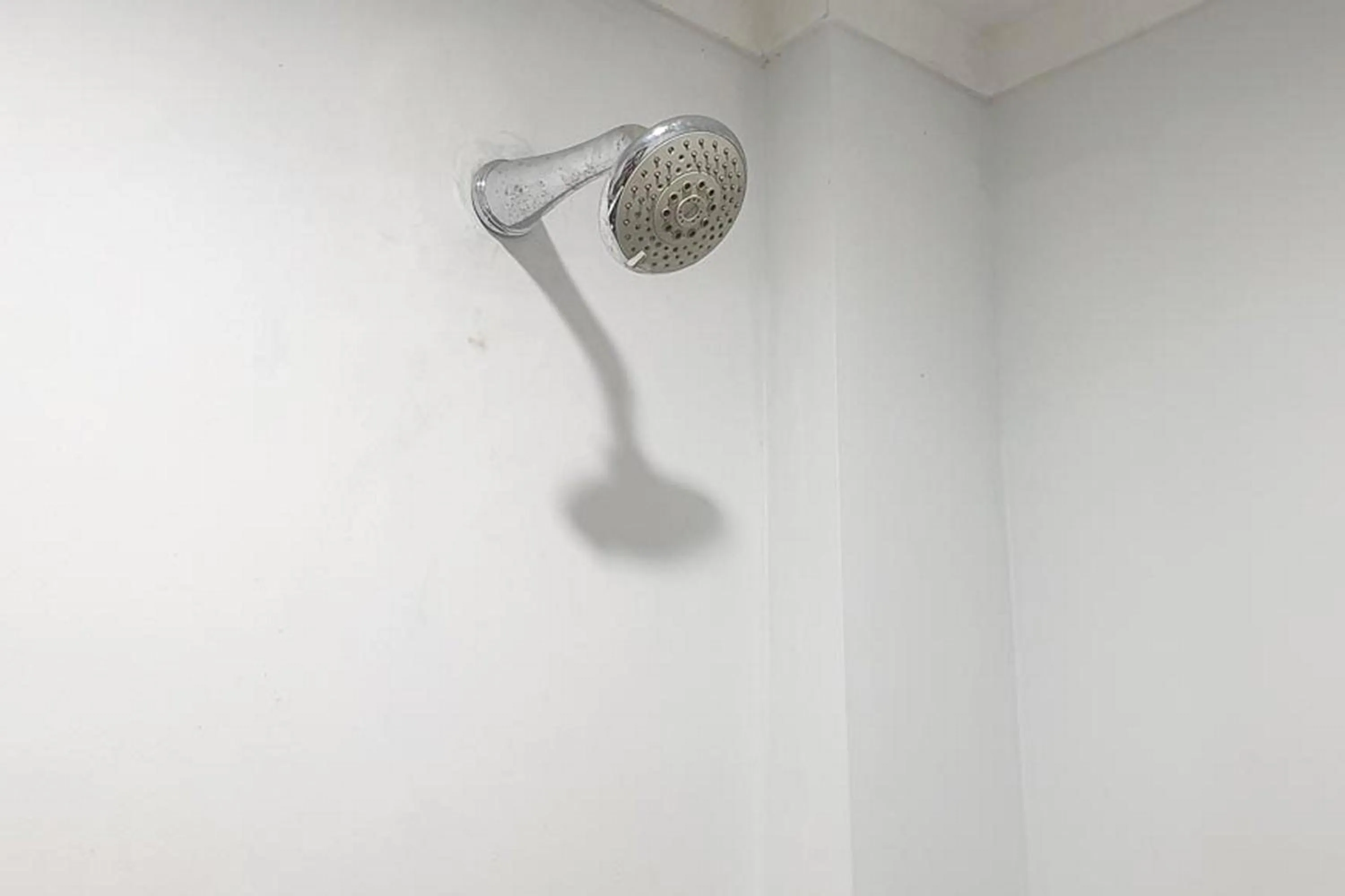 Defada Village Bromo at Desa Wisata Bromo Mitra RedDoorz