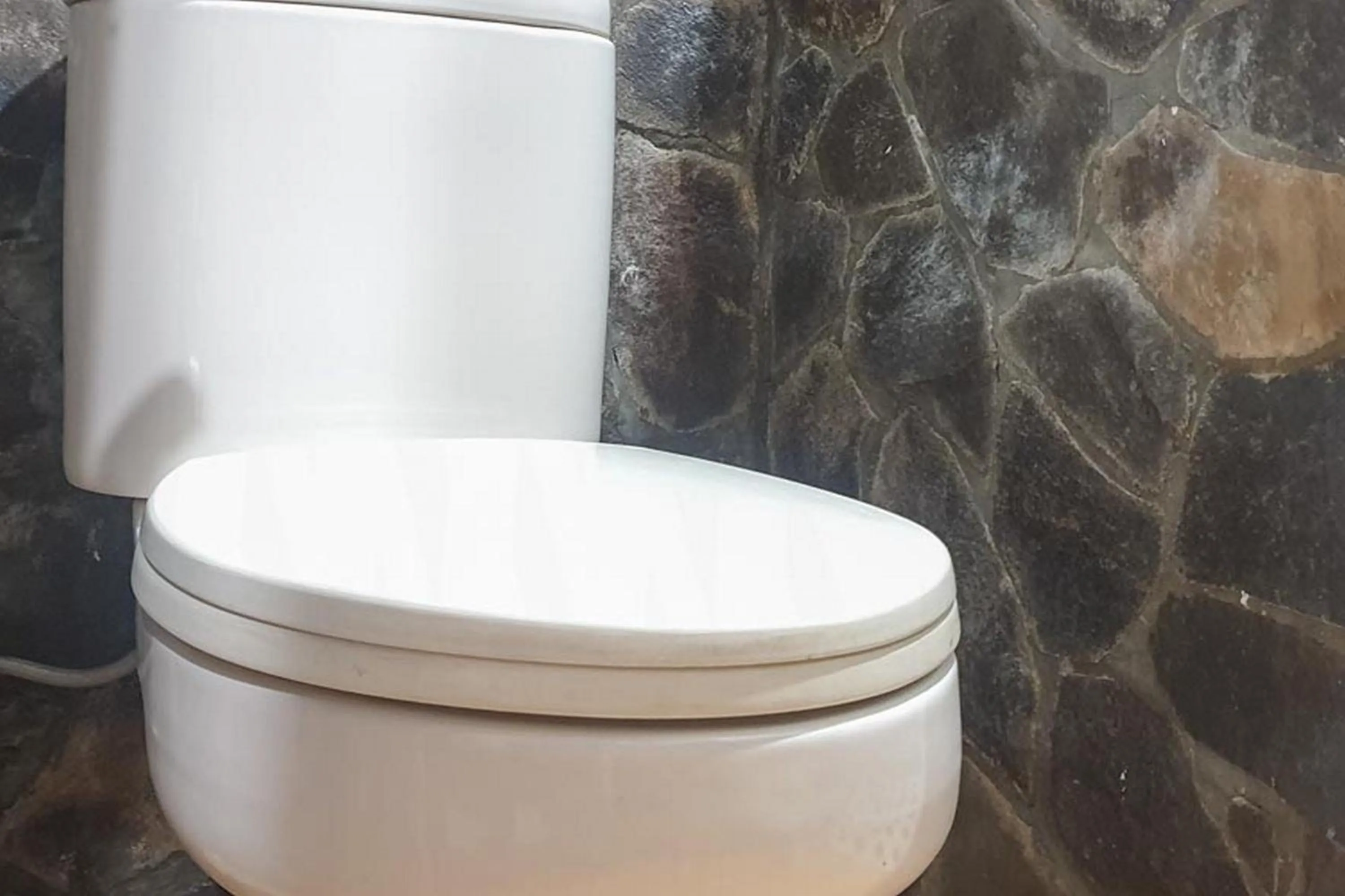 Defada Village Bromo at Desa Wisata Bromo Mitra RedDoorz