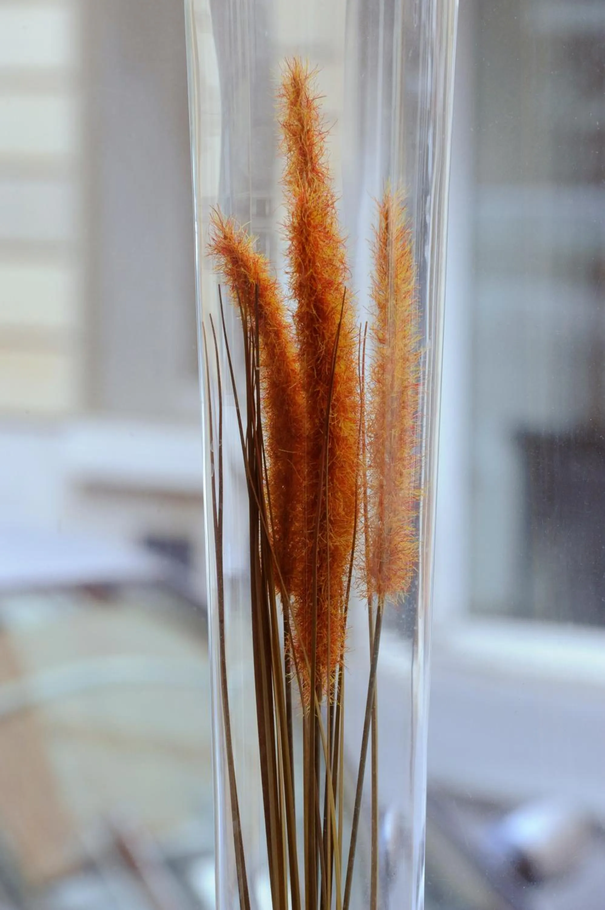 Decorative detail in Printania Porte de Versailles