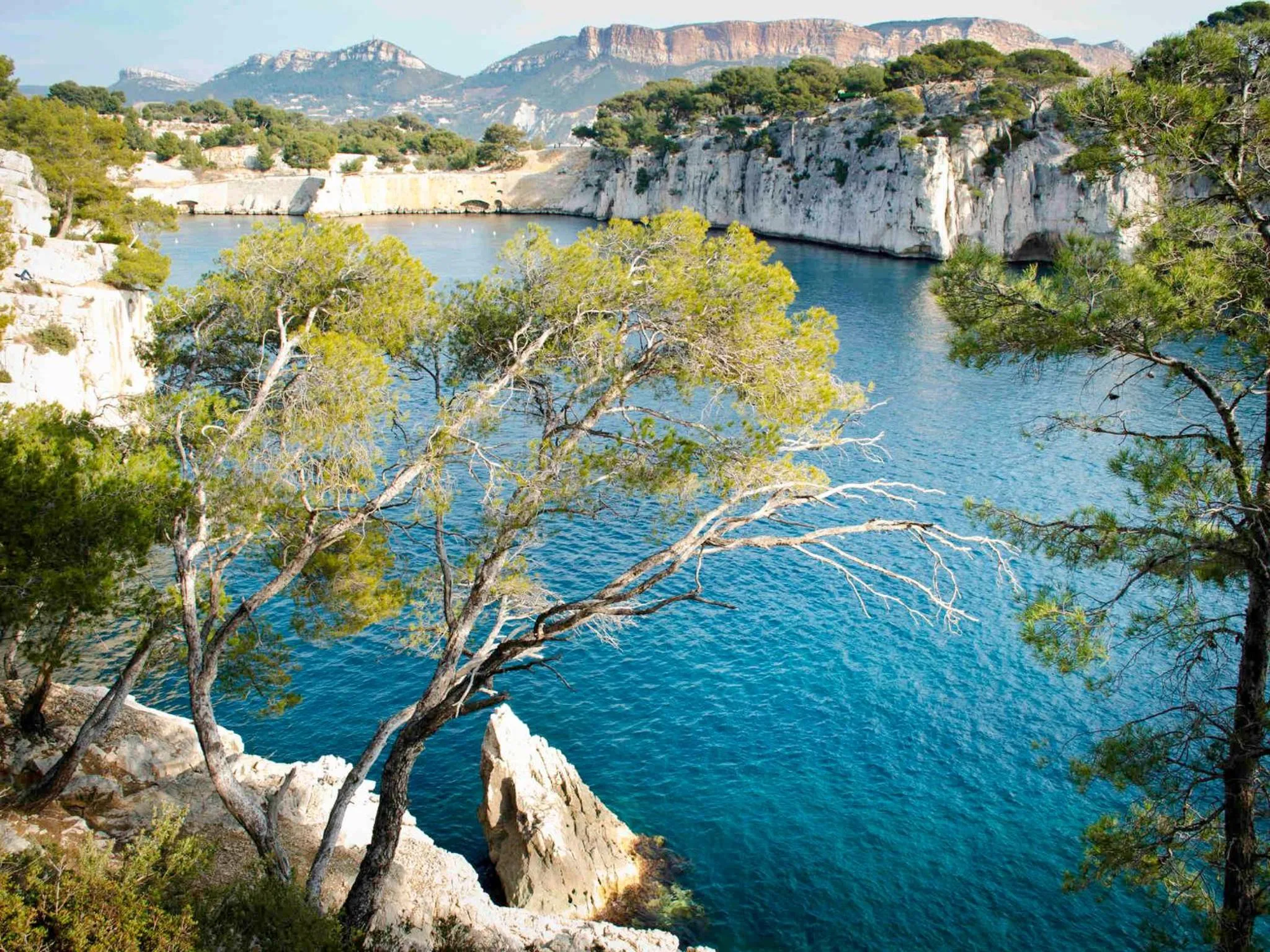 Natural landscape in Mercure Marseille Canebière Vieux-Port