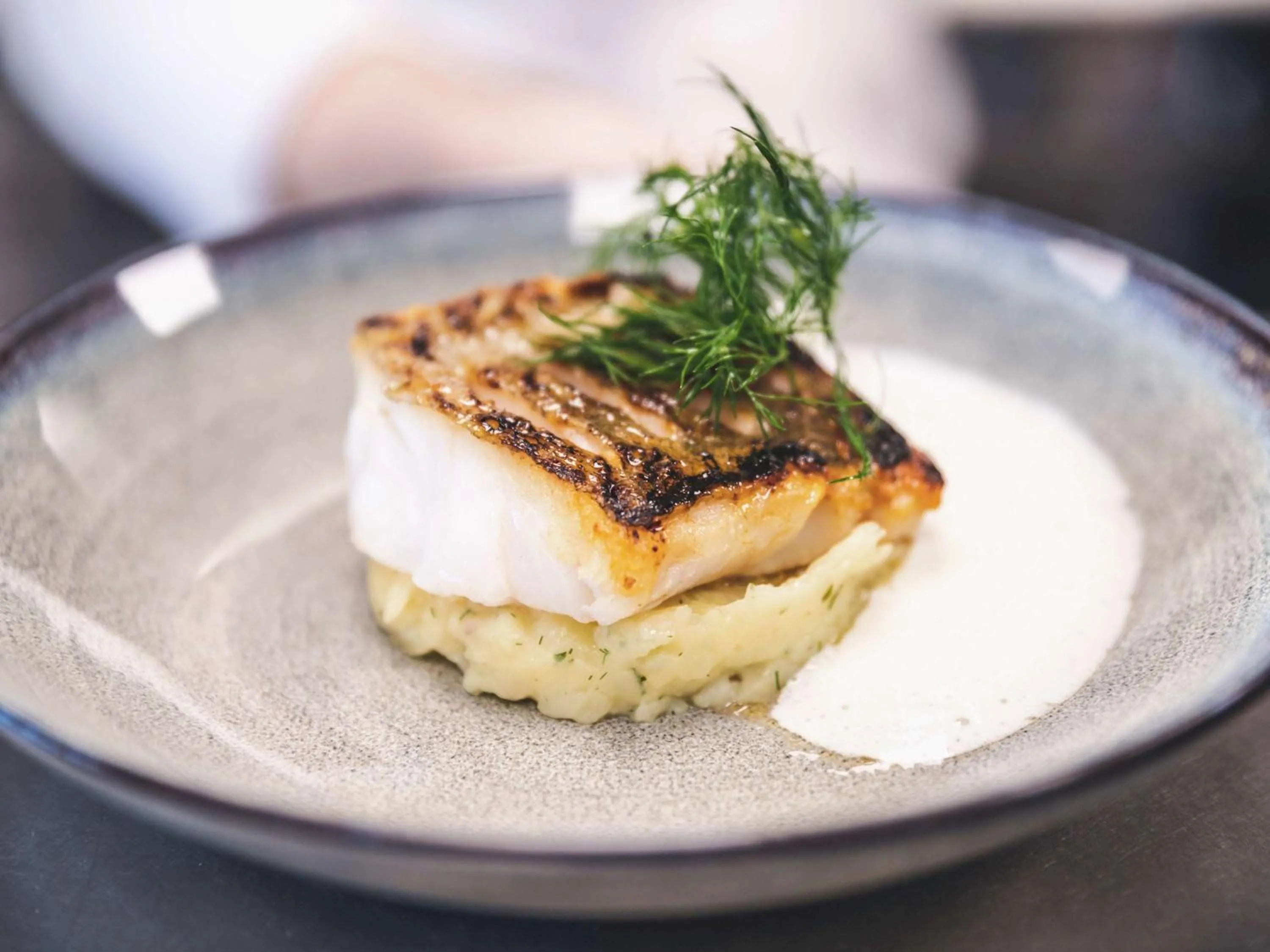 Restaurant/places to eat in Sainte-Barbe Hotel & Spa Le Conquet - MGallery Collection