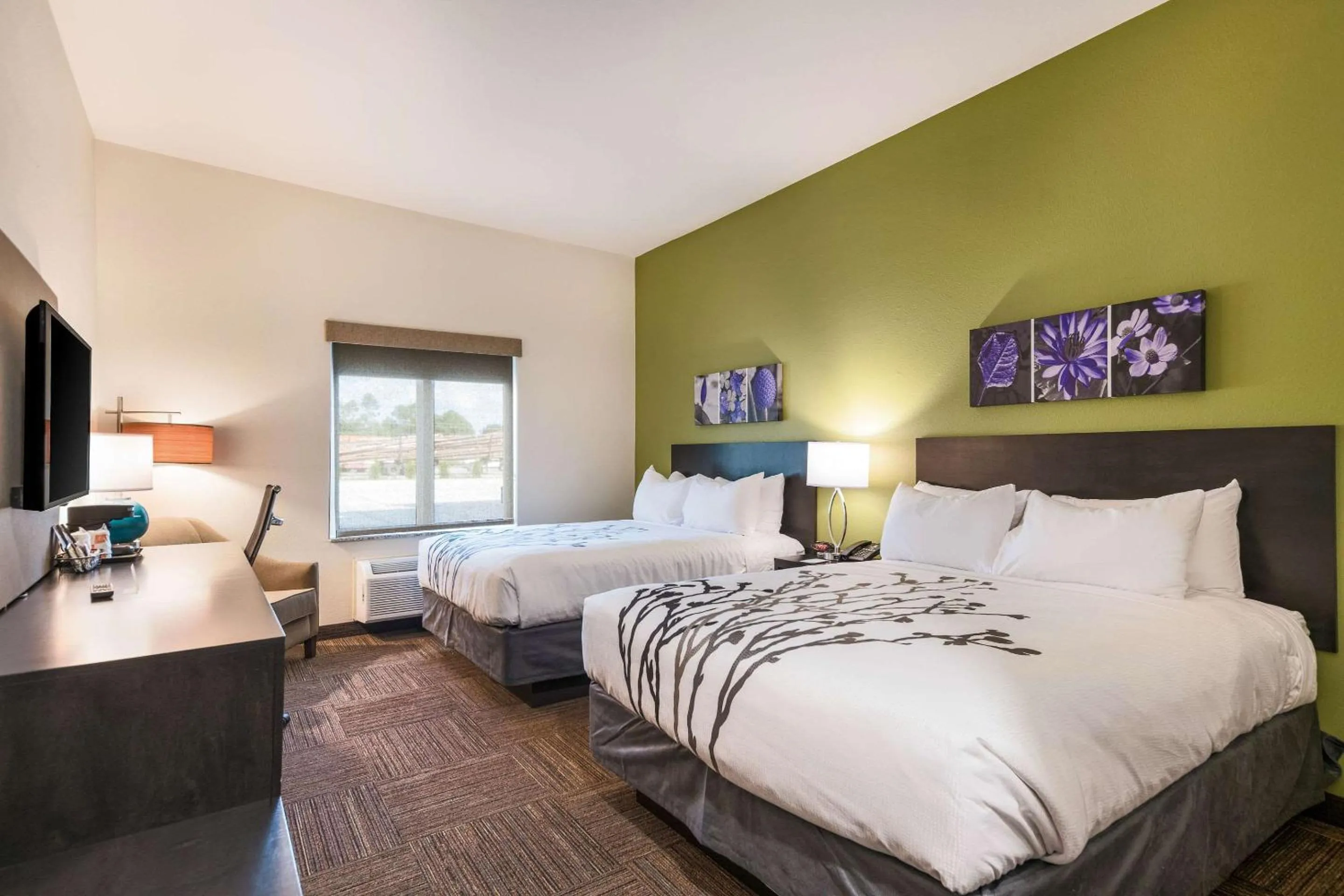 Photo of the whole room, Bed in Sleep Inn Baxley