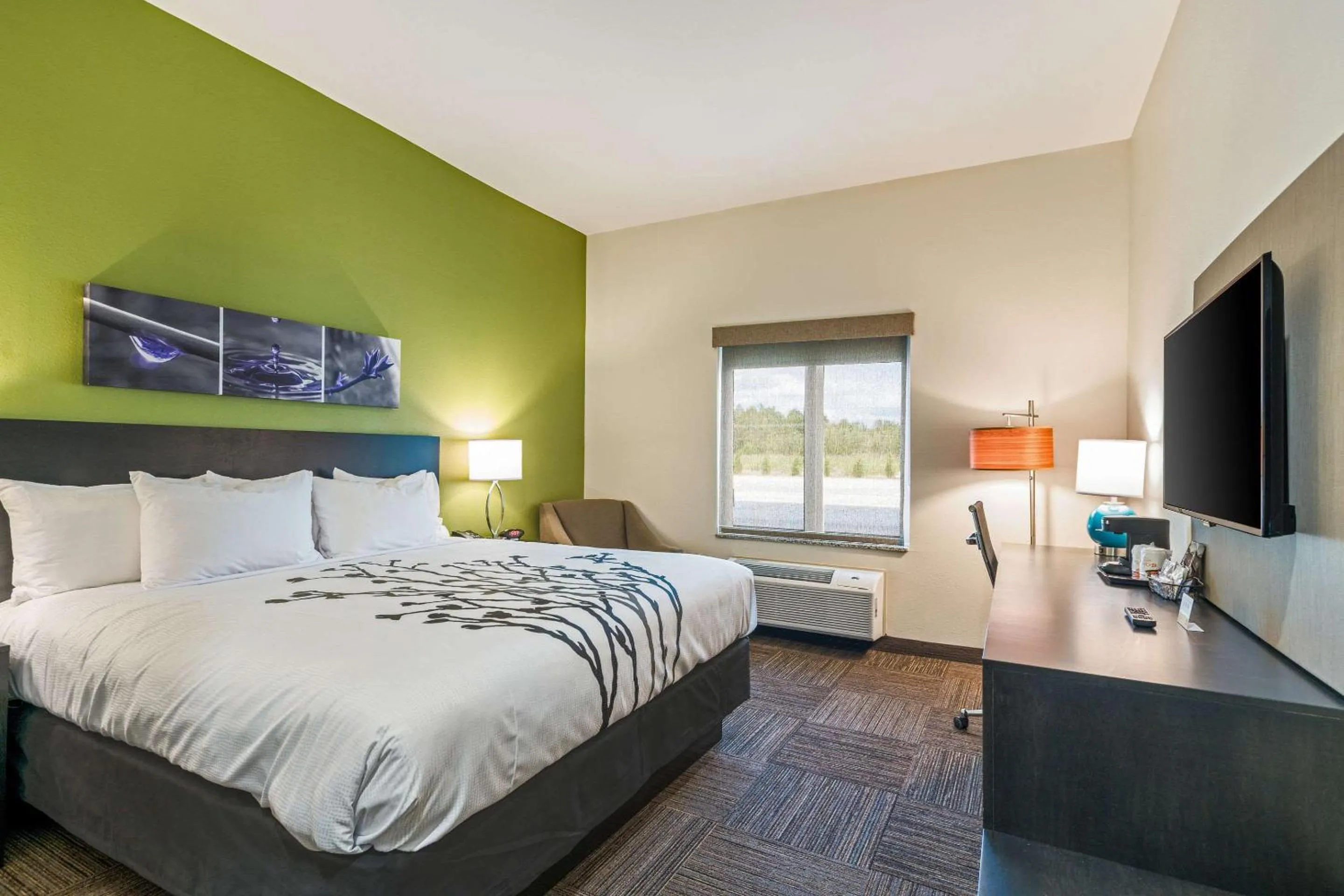 Photo of the whole room, Bed in Sleep Inn Baxley