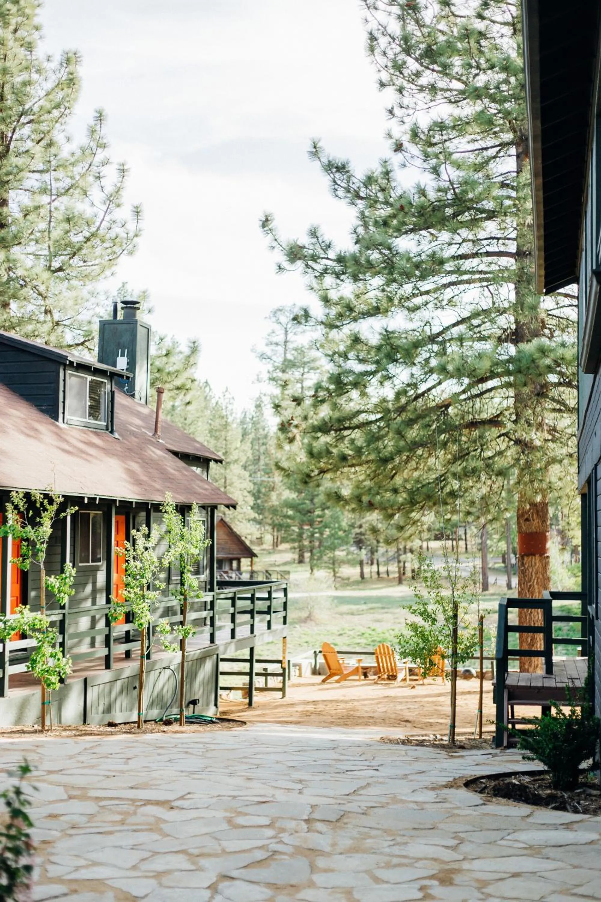 Property building in Noon Lodge
