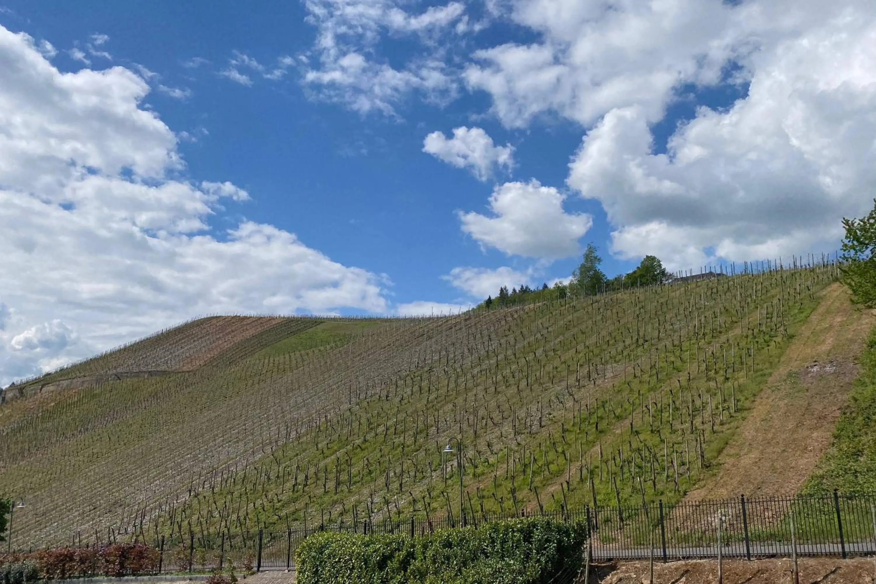 Photo of the whole room in Schloss Lieser, Autograph Collection