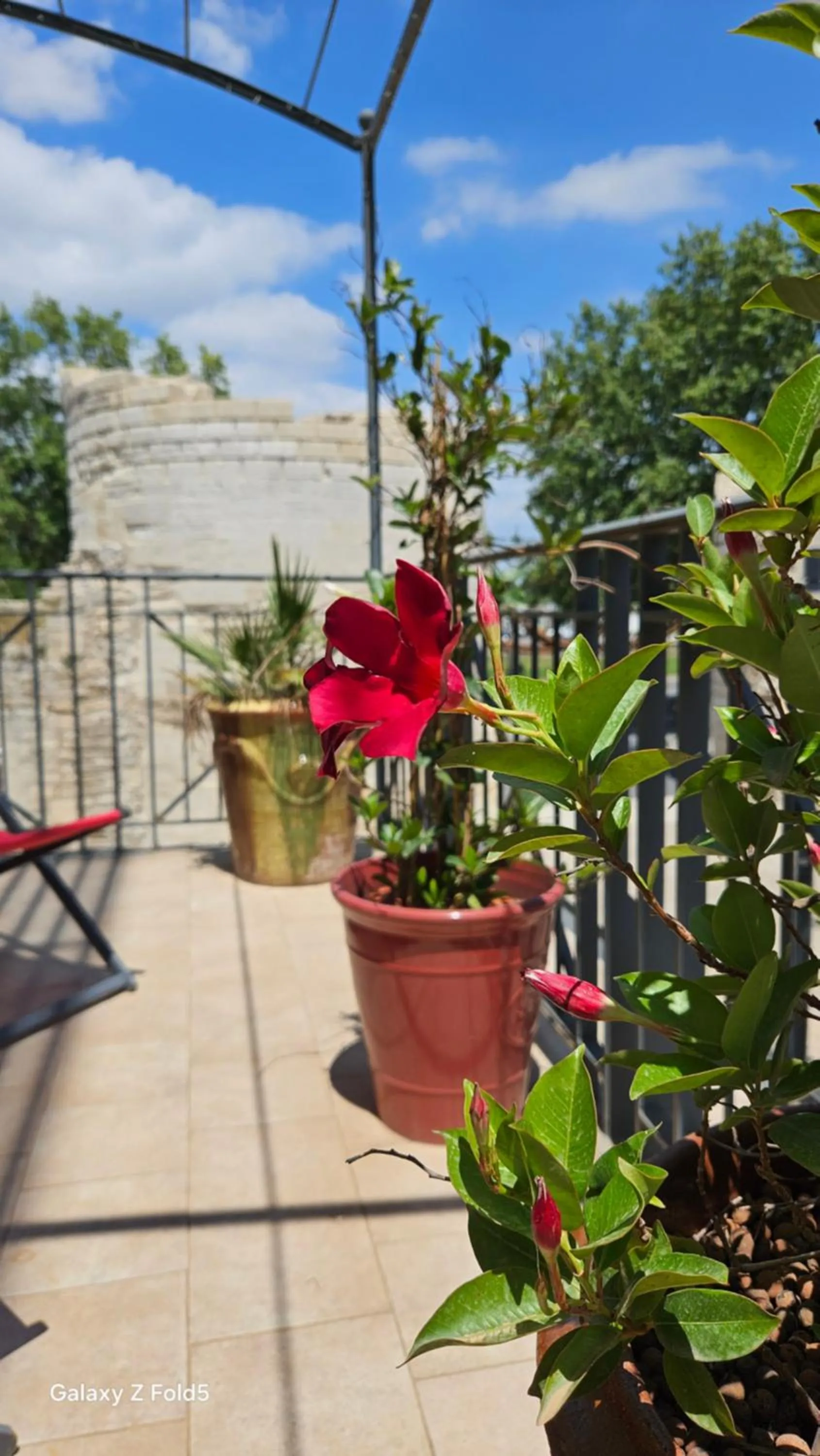 Patio in Brit Hotel Acacias