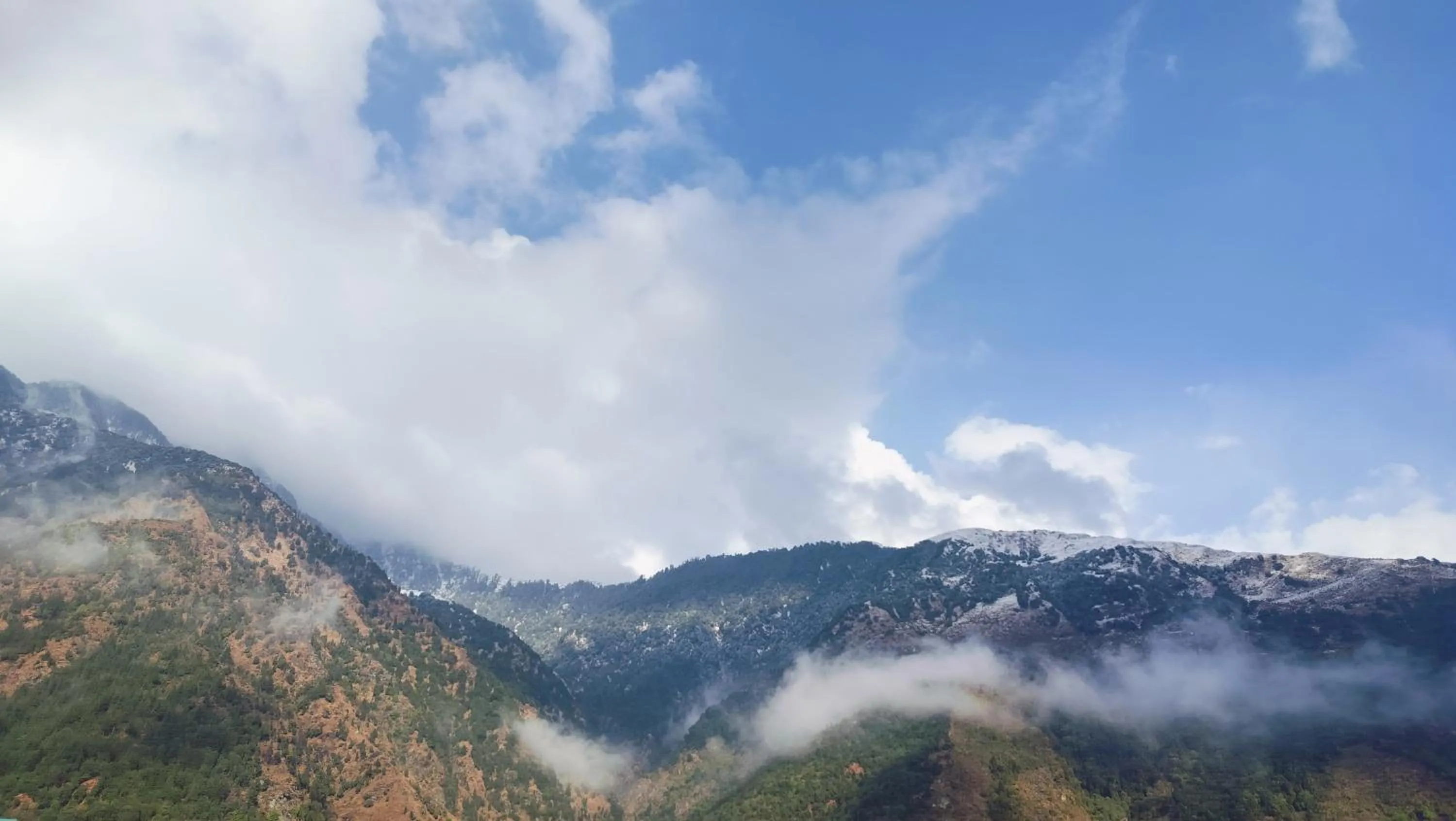 White Water Inn Mcleodganj