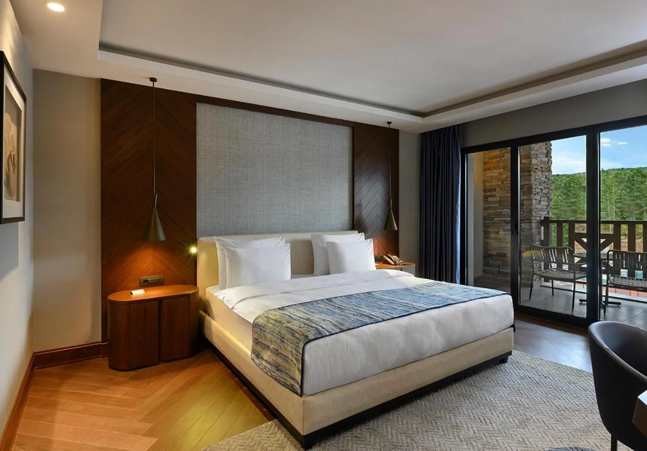 Photo of the whole room, Bed in Elite World Grand Sapanca
