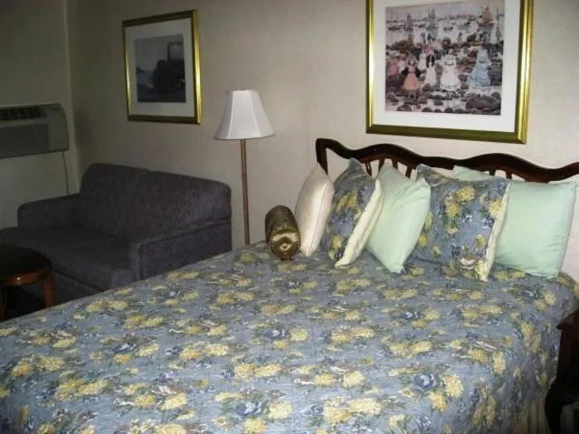 Bed in Sea Whale Motel