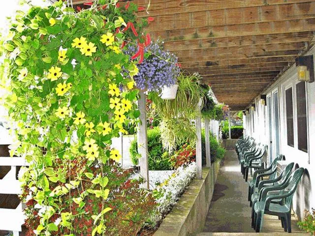 Garden in Sea Whale Motel