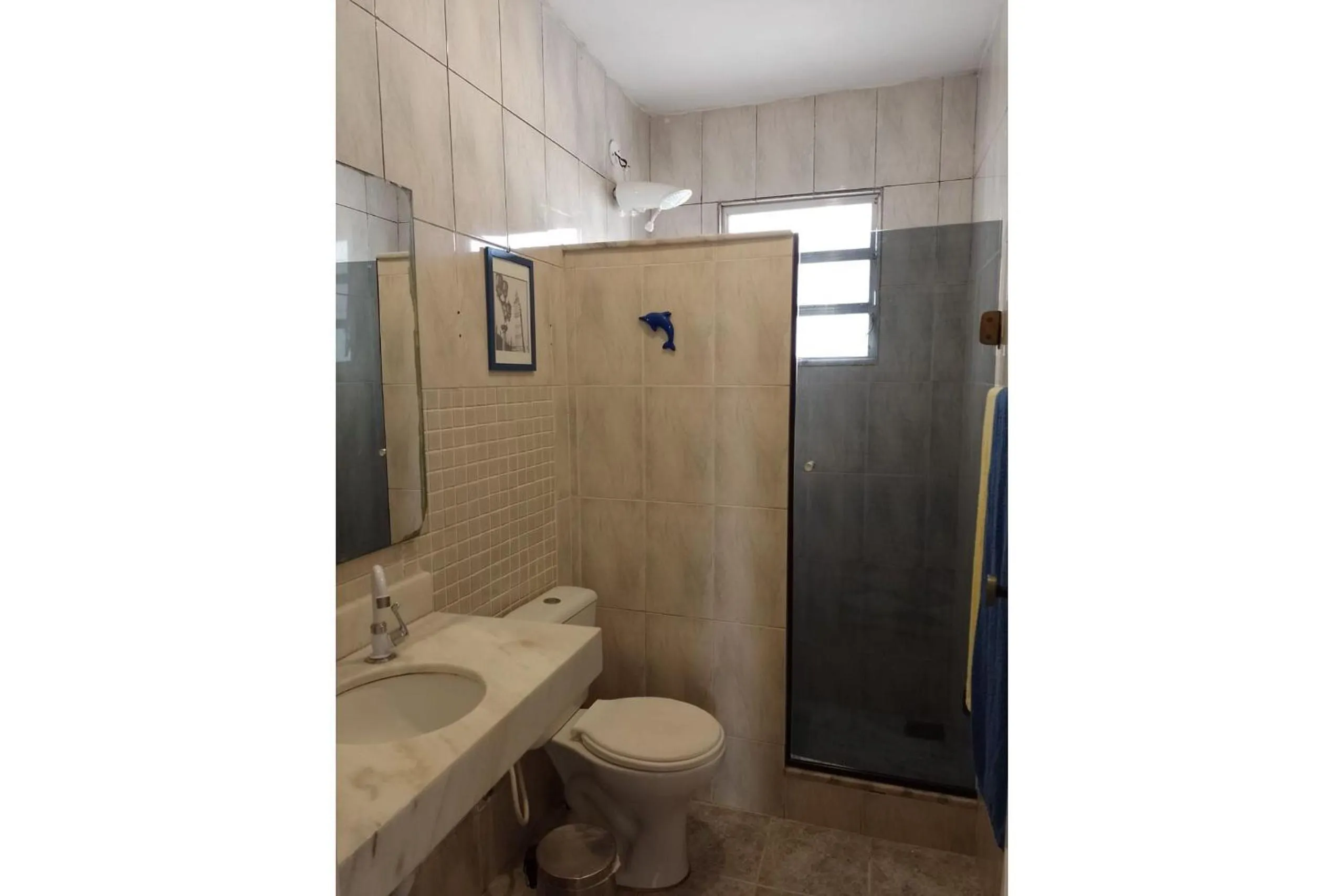 Toilet in FAMILY- Conheça Cabo Frio e ARRAIAL e traga seu pet - Confira