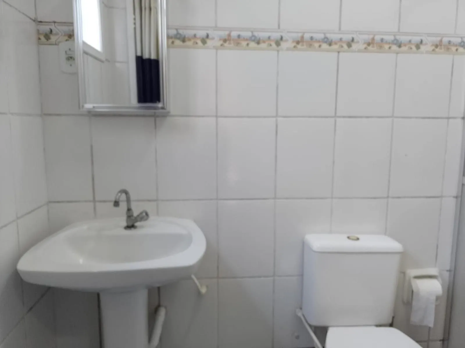 Toilet in FAMILY- Conheça Cabo Frio e ARRAIAL e traga seu pet - Confira