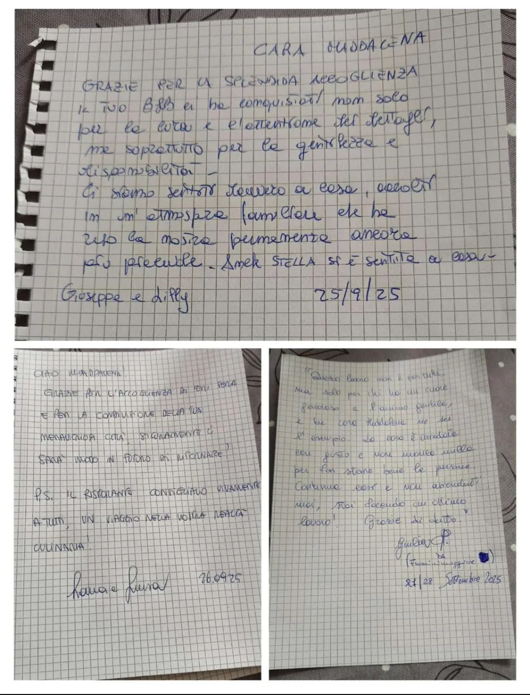 Text overlay in B&B Libellula