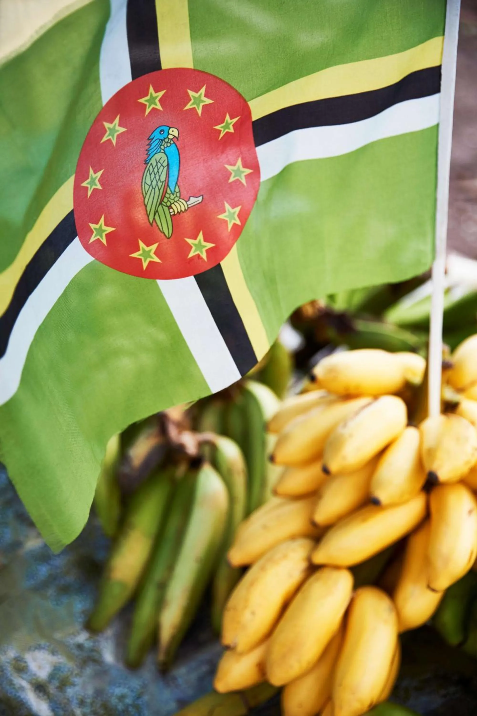 Nearby landmark in InterContinental Dominica Cabrits Resort & Spa by IHG