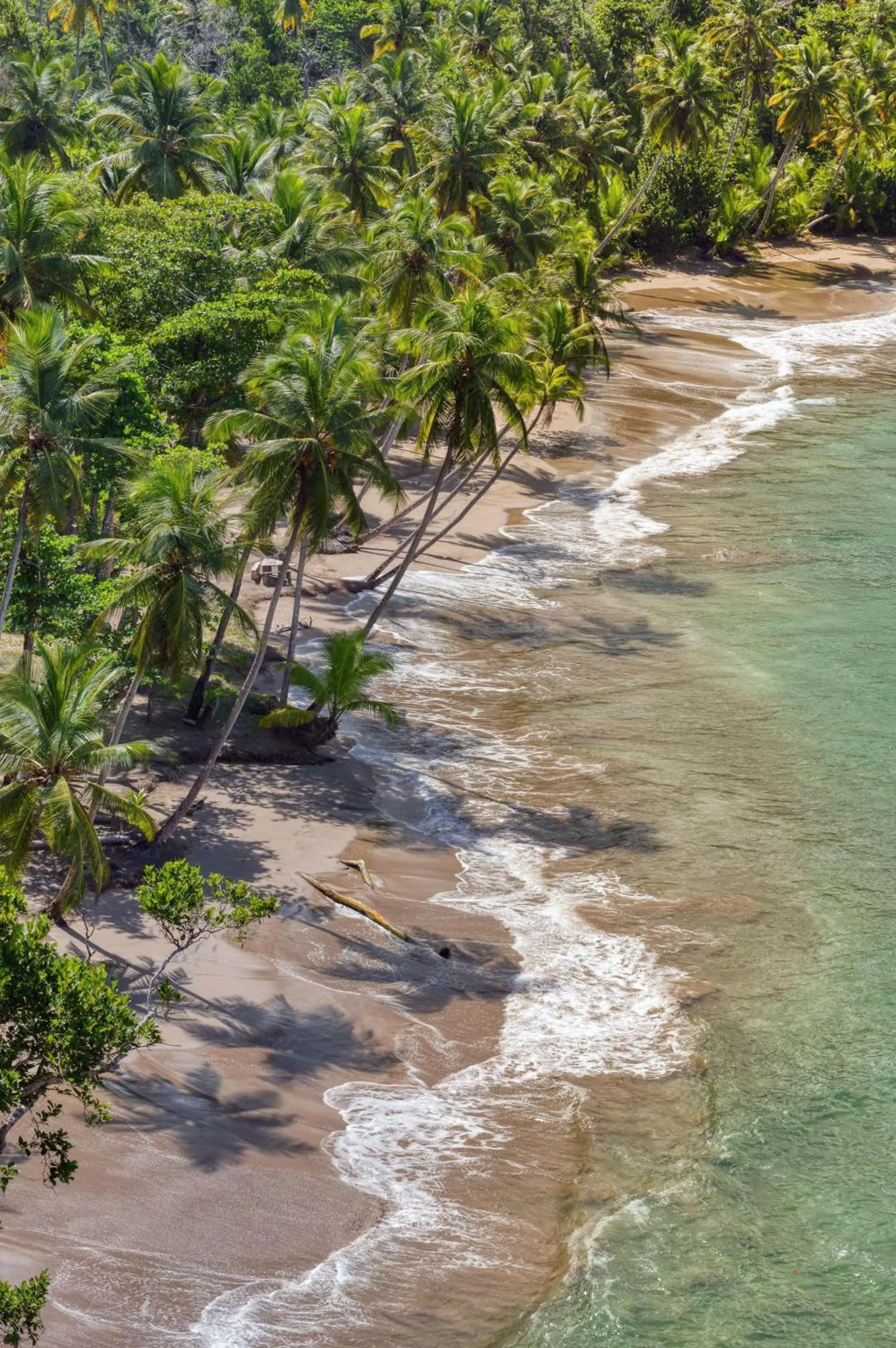 Beach in InterContinental Dominica Cabrits Resort & Spa by IHG