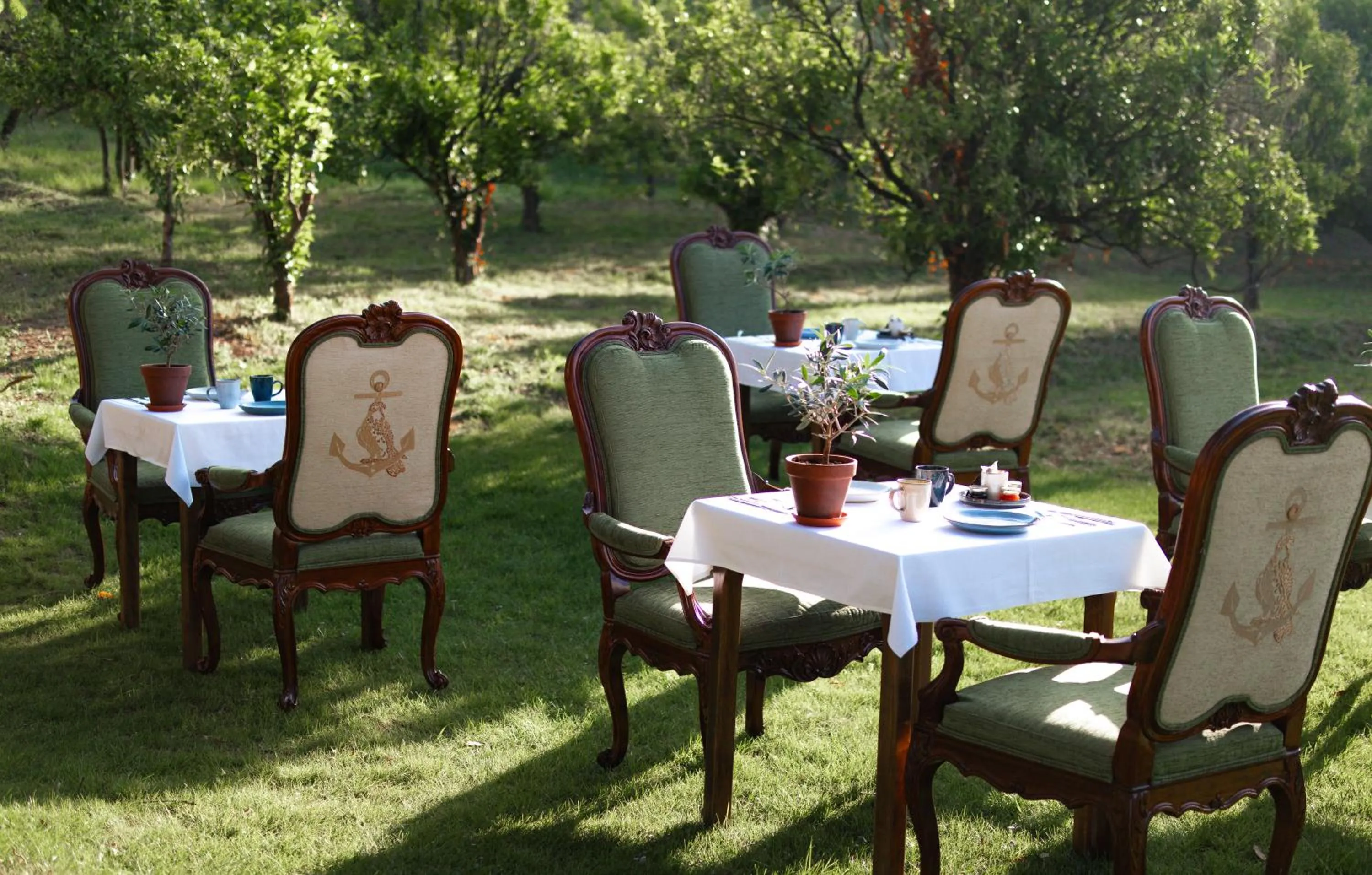 Garden in Les Vergers de Saint Paul