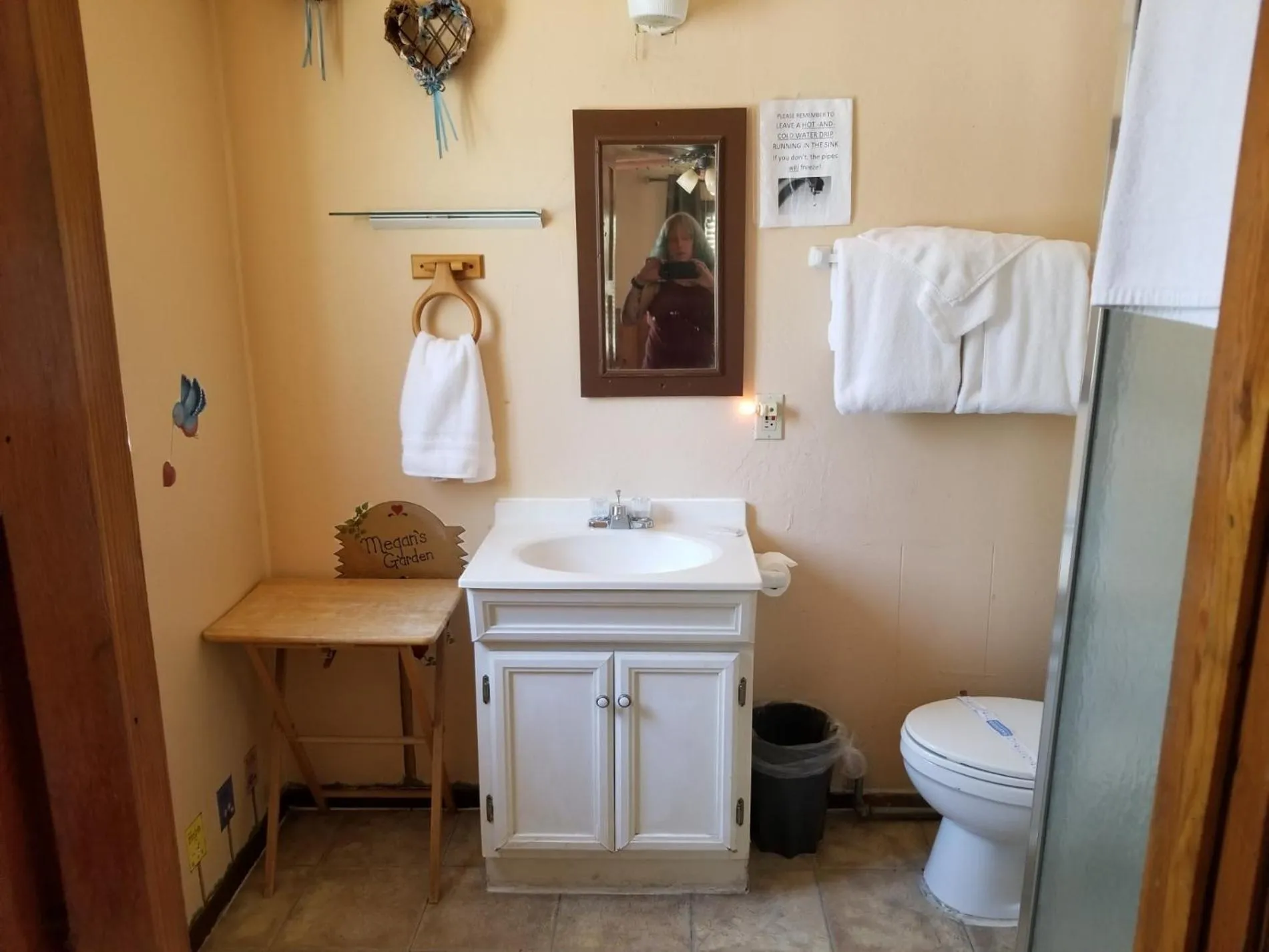 Toilet in Timberline Lodge