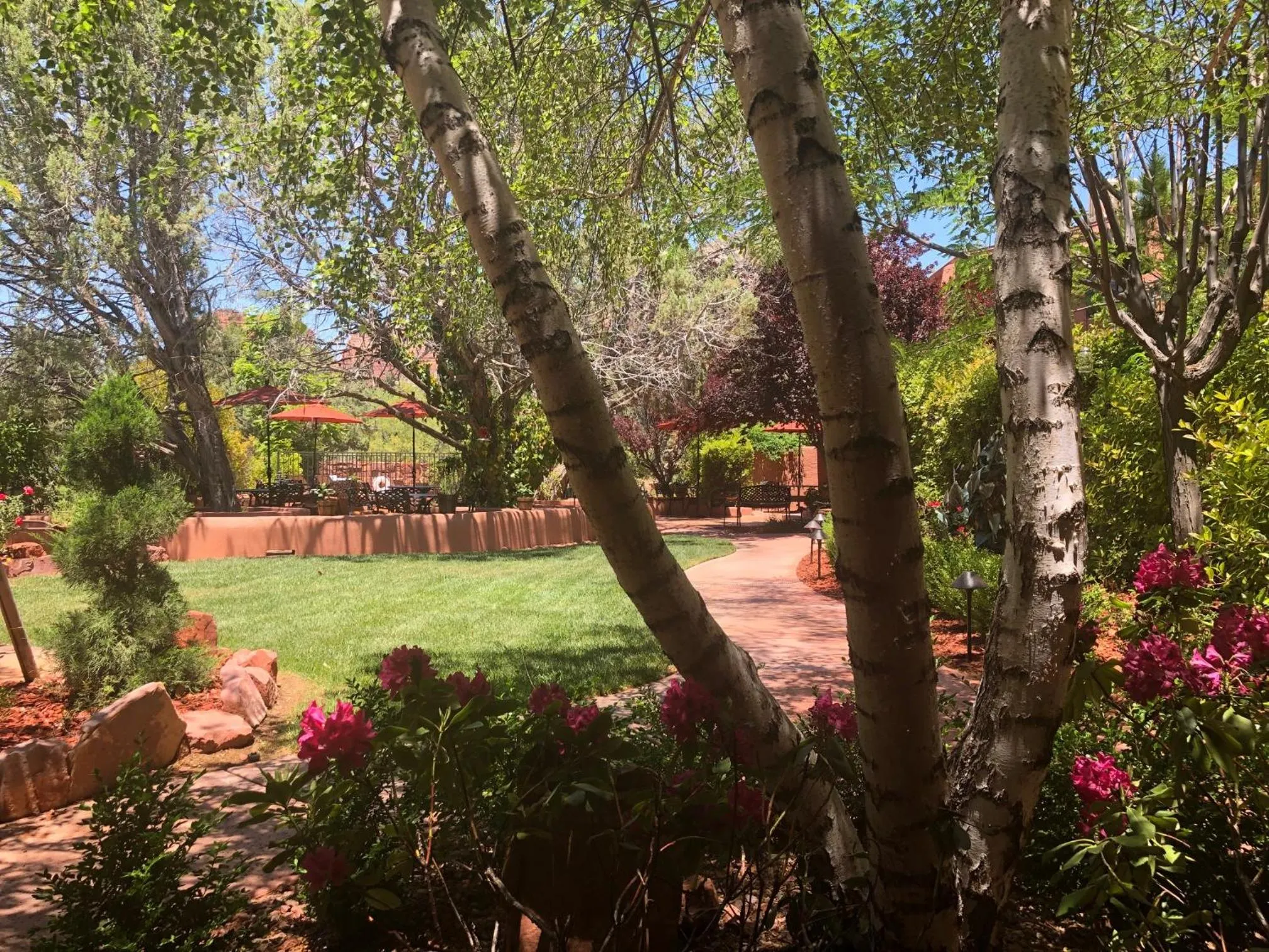 Garden view in Casa Sedona Inn