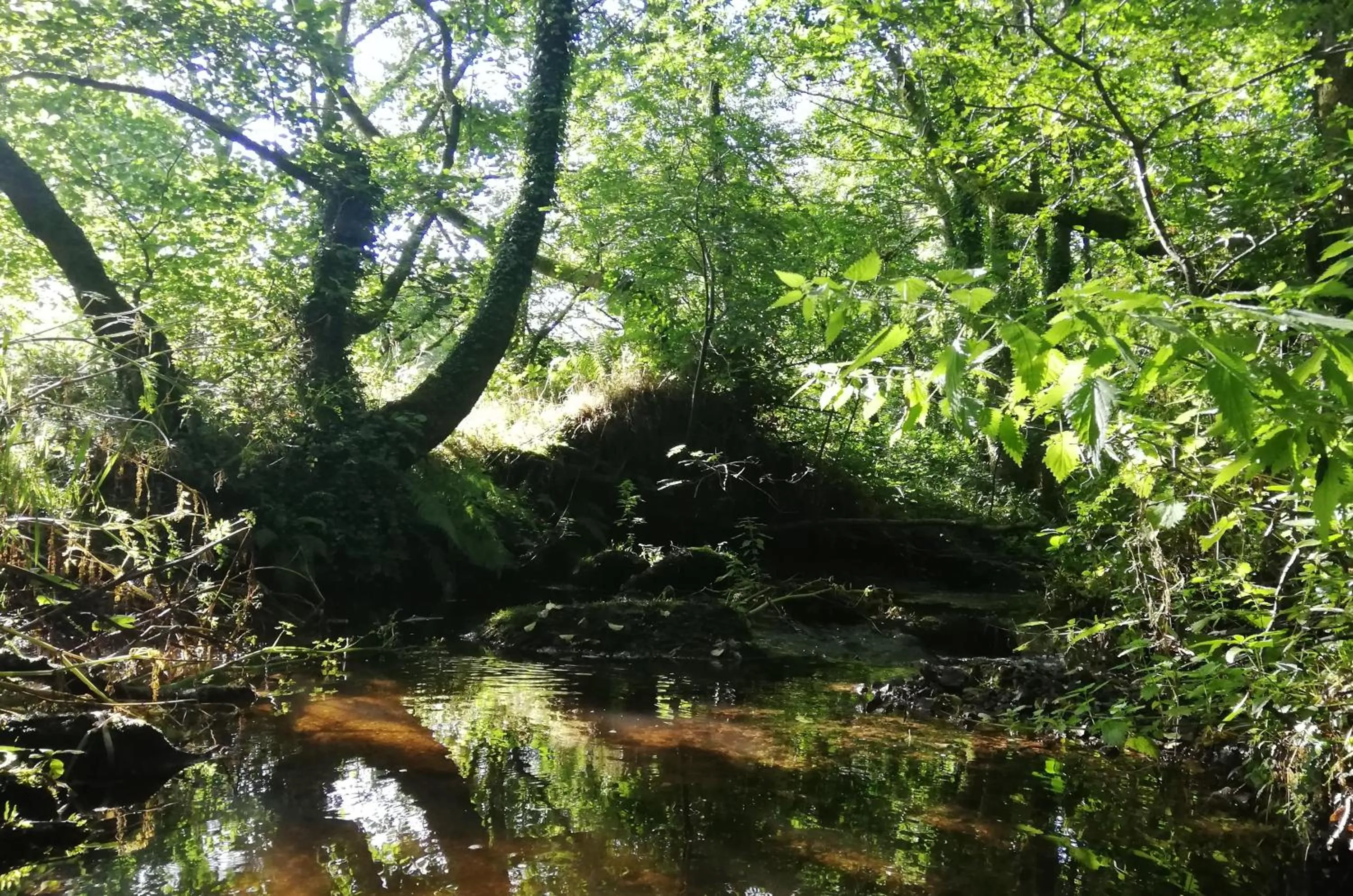 Natural landscape in Wray Valley