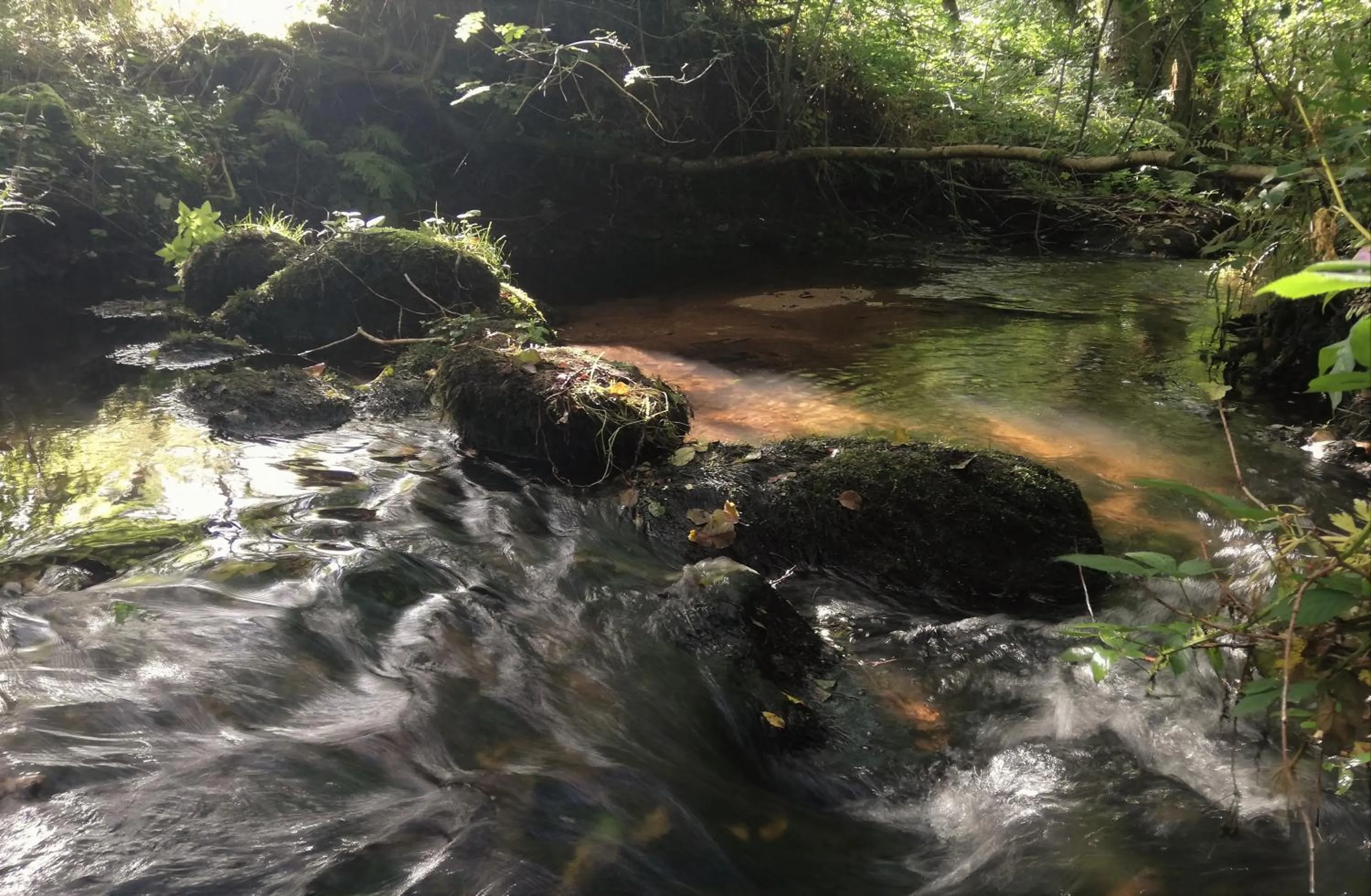 Natural landscape in Wray Valley